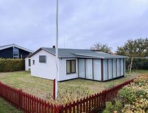 "Ginger" - 50m from the sea