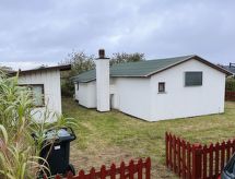 "Ginger" - 50m from the sea