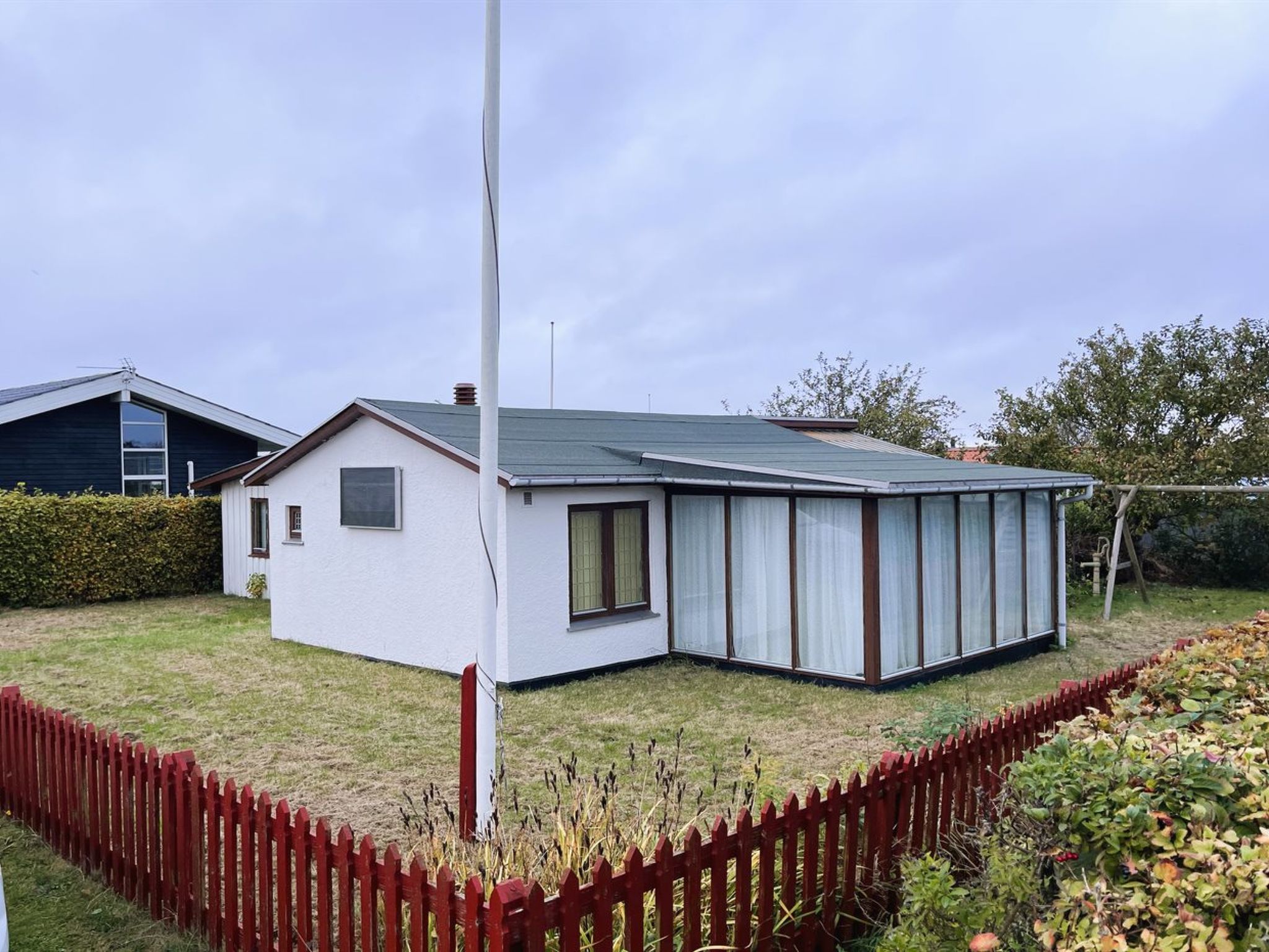 "Ginger" - 50m from the sea