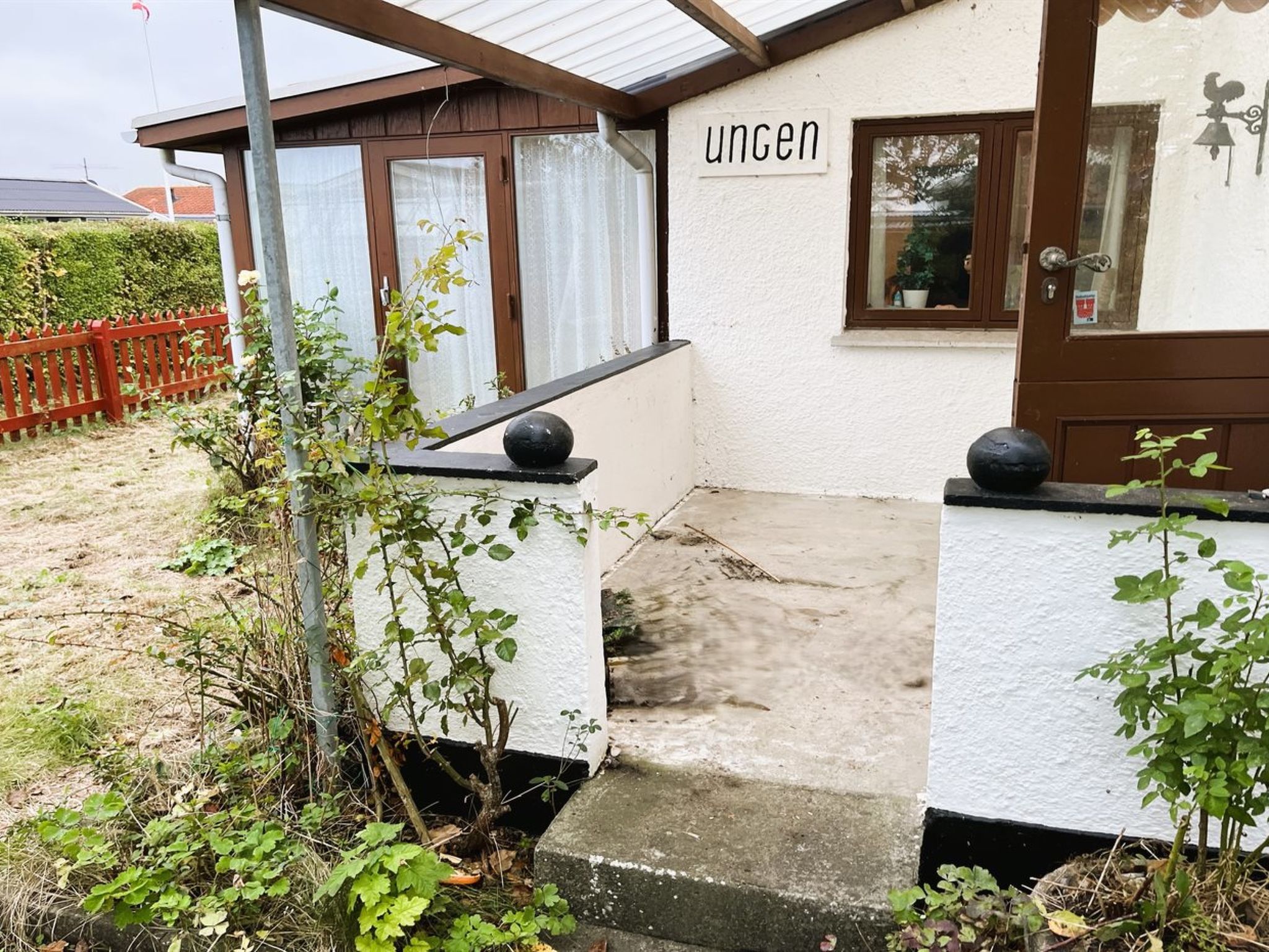 "Ginger" - 50m from the sea