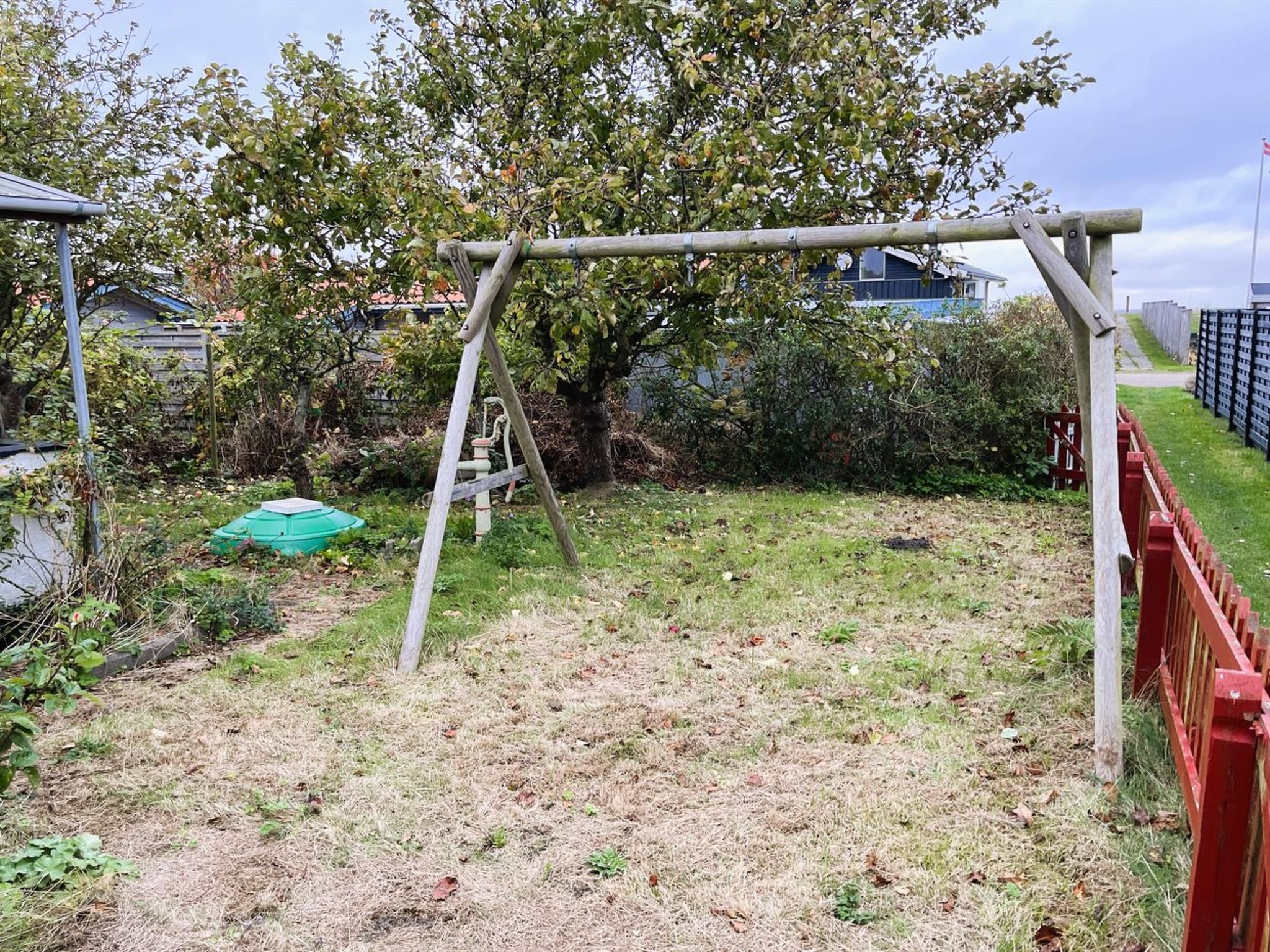 "Ginger" - 50m from the sea