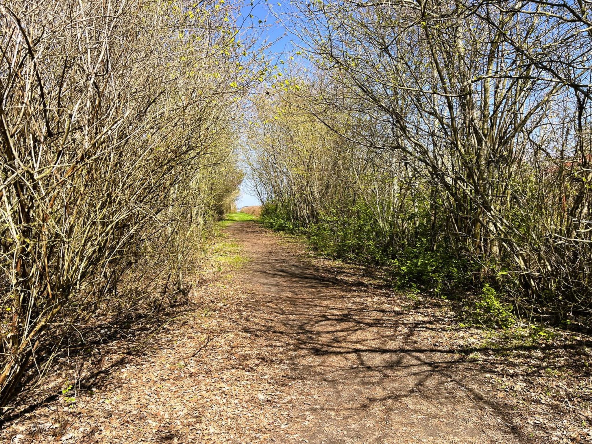 "Troen" - 400m from the sea - Outside