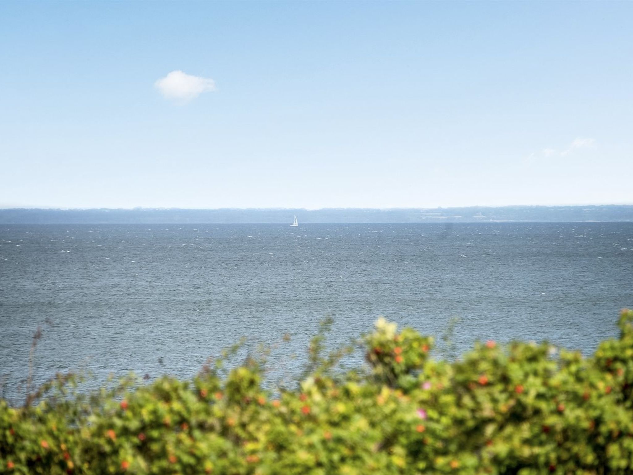 "Elfi" - 30m from the sea - Buiten
