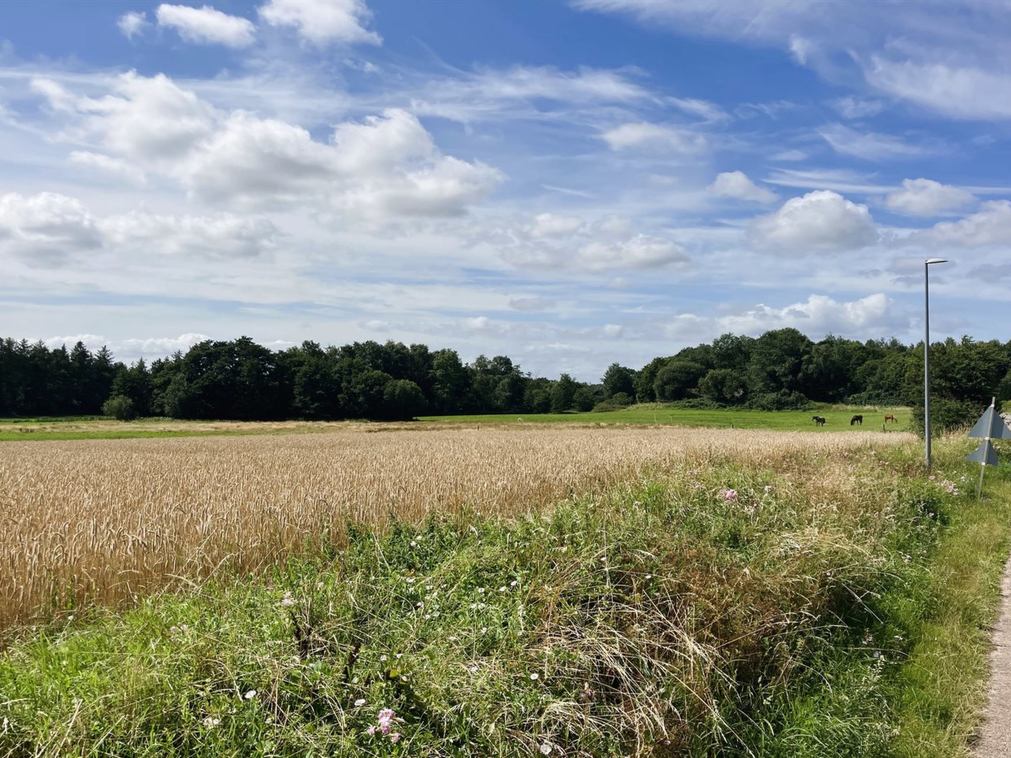 "Thessa" - 4km from the sea - Buiten