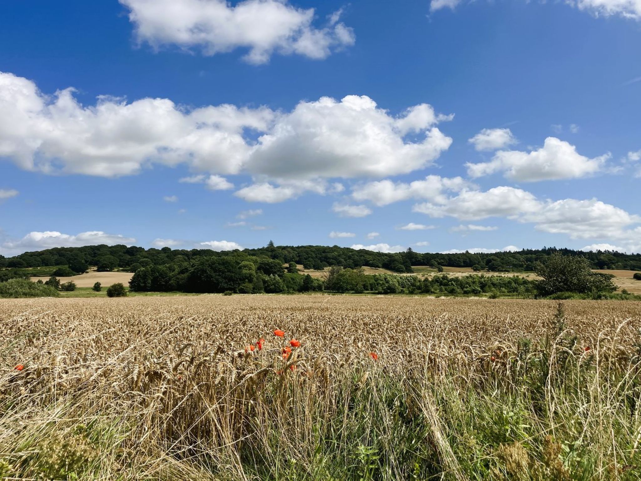 "Thessa" - 4km from the sea - Buiten