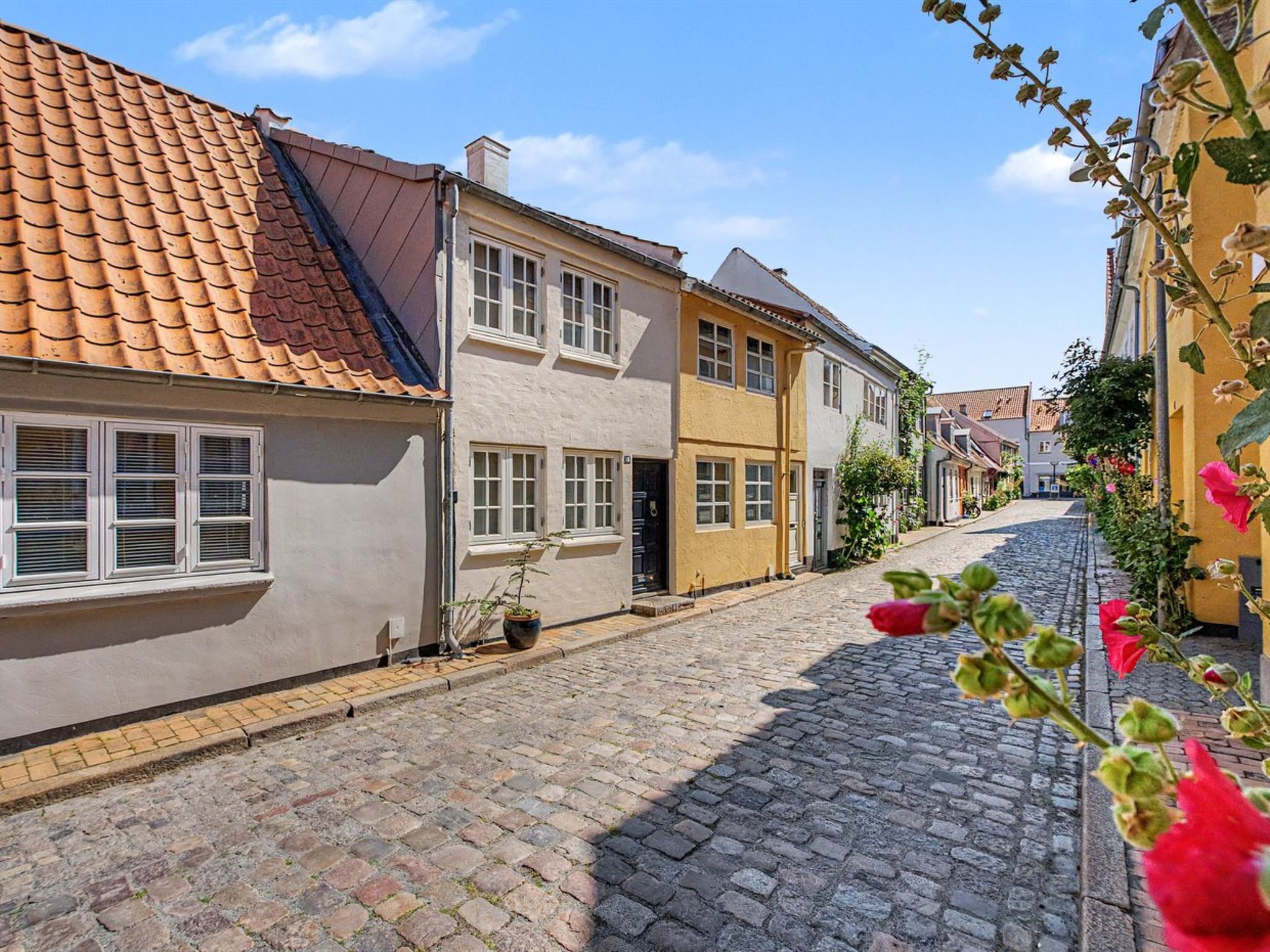 "Lutz" - 275m from the sea", 1-Zimmer-Haus 61 m2. Objekt geeignet für 2 Erwachsene. Wohnzimmer mit TV. 1 Zimmer mit 1 Doppelbett. Küche (Backofen, Geschirrspüler, 4 Glaskeramikplatten, Tiefkühler)..