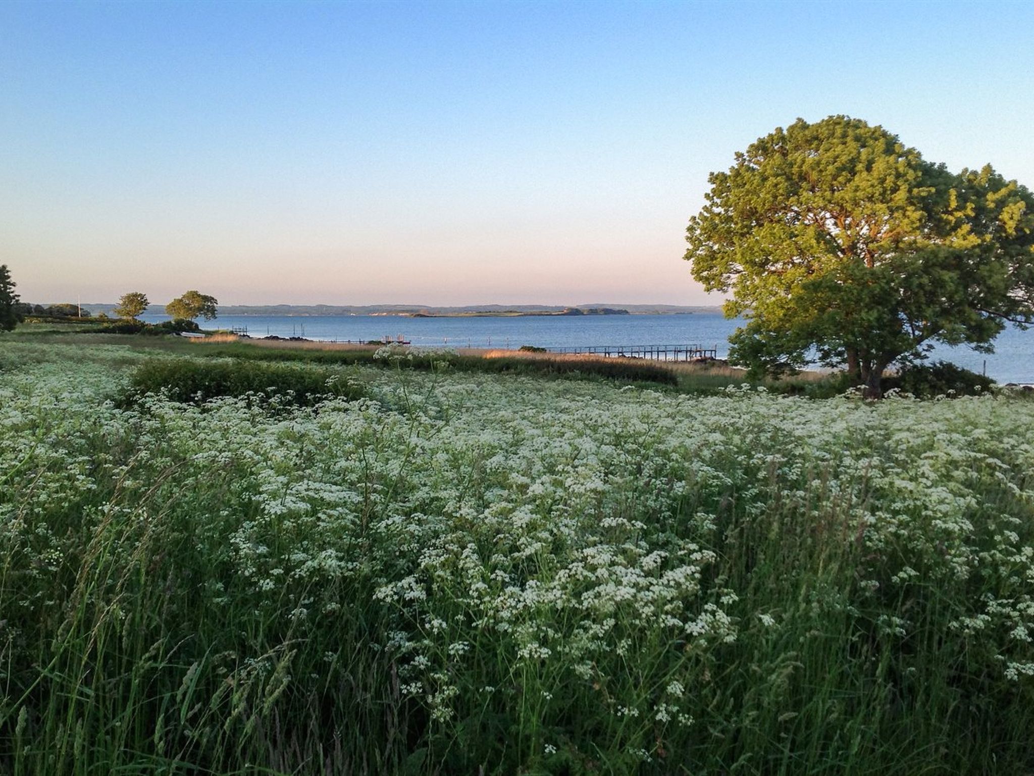 "Bibi" - 200m from the sea - Buiten