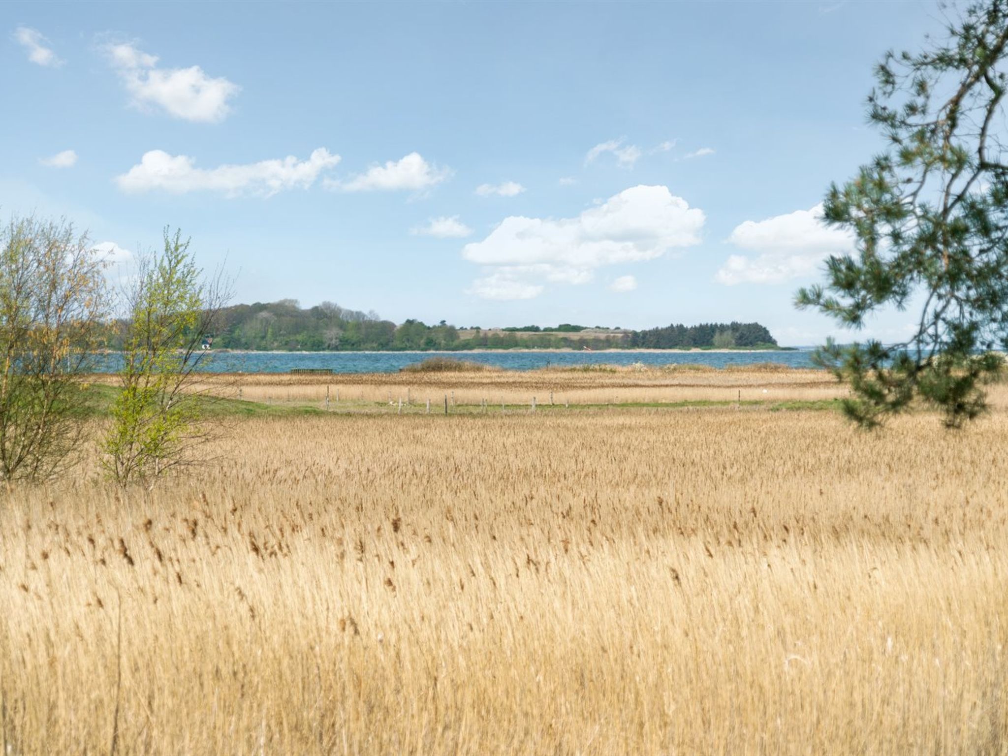"Antti" - 350m from the sea - Buiten