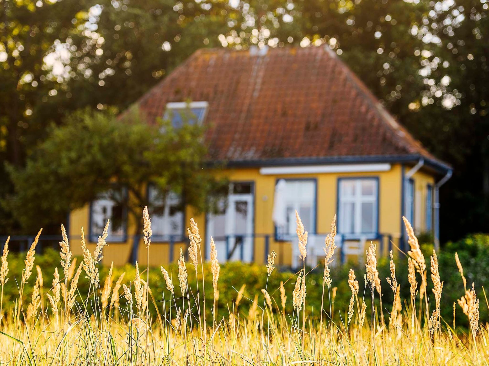 Historisches Strandanwesen mit Meerblick-Image-tags.info