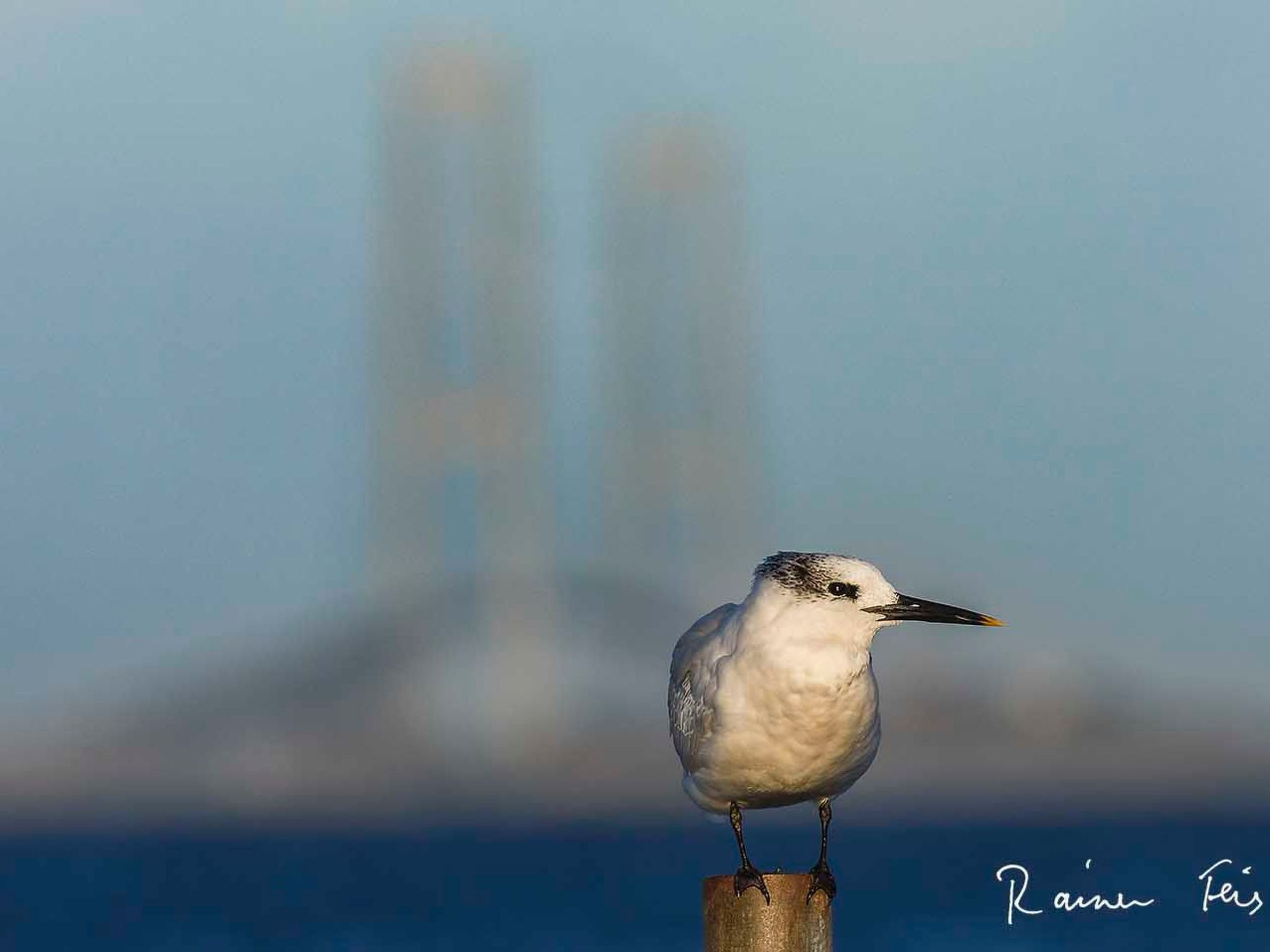 Historisches Strandanwesen mit Meerblick-Image-tags.info
