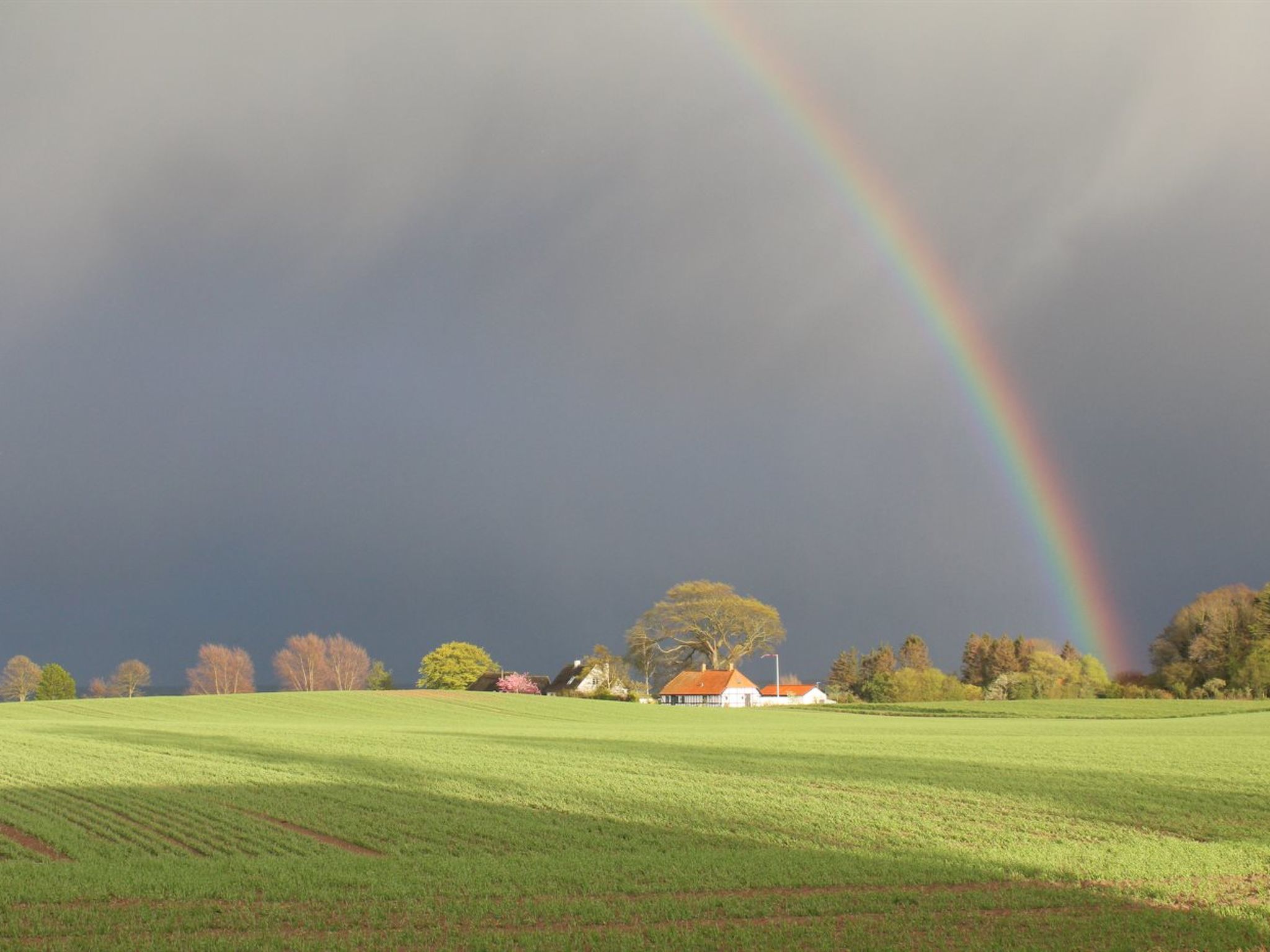 "Harre" - 300m from the sea - Buiten