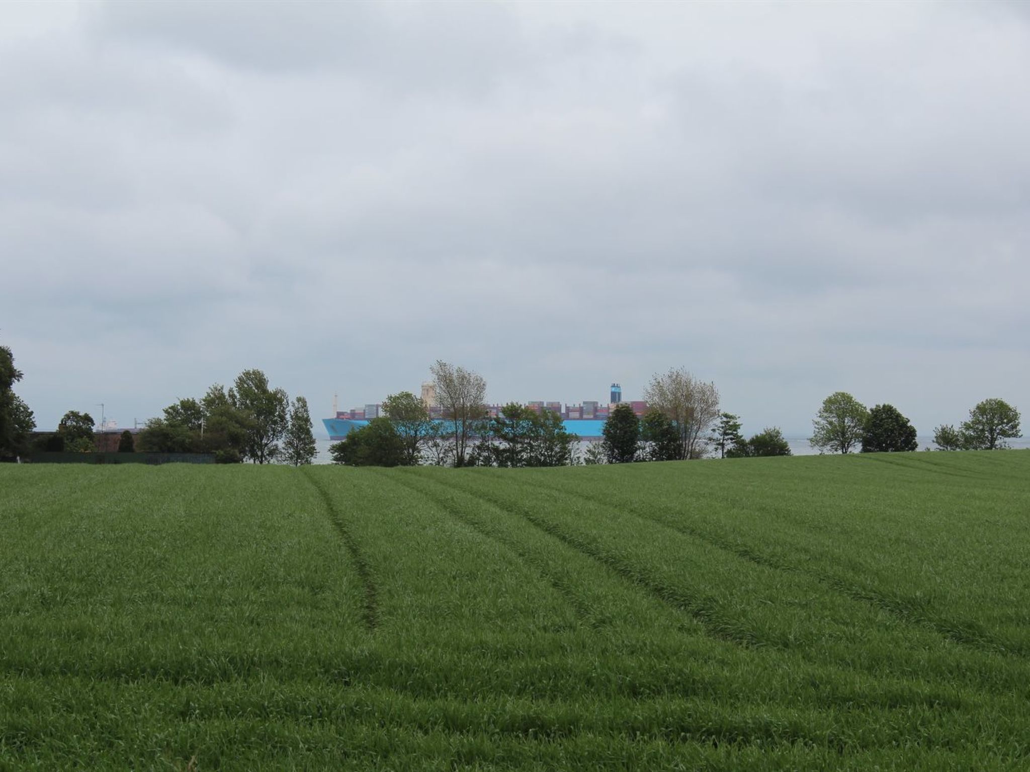 "Harre" - 300m from the sea - Buiten
