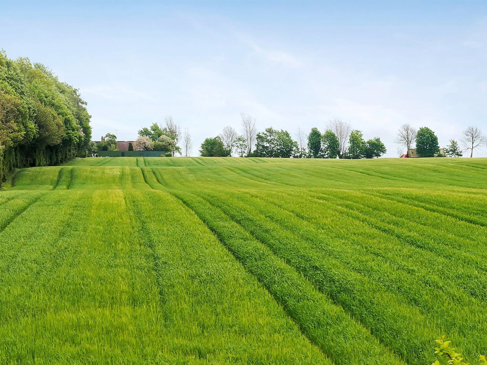 "Harre" - 300m from the sea - Buiten