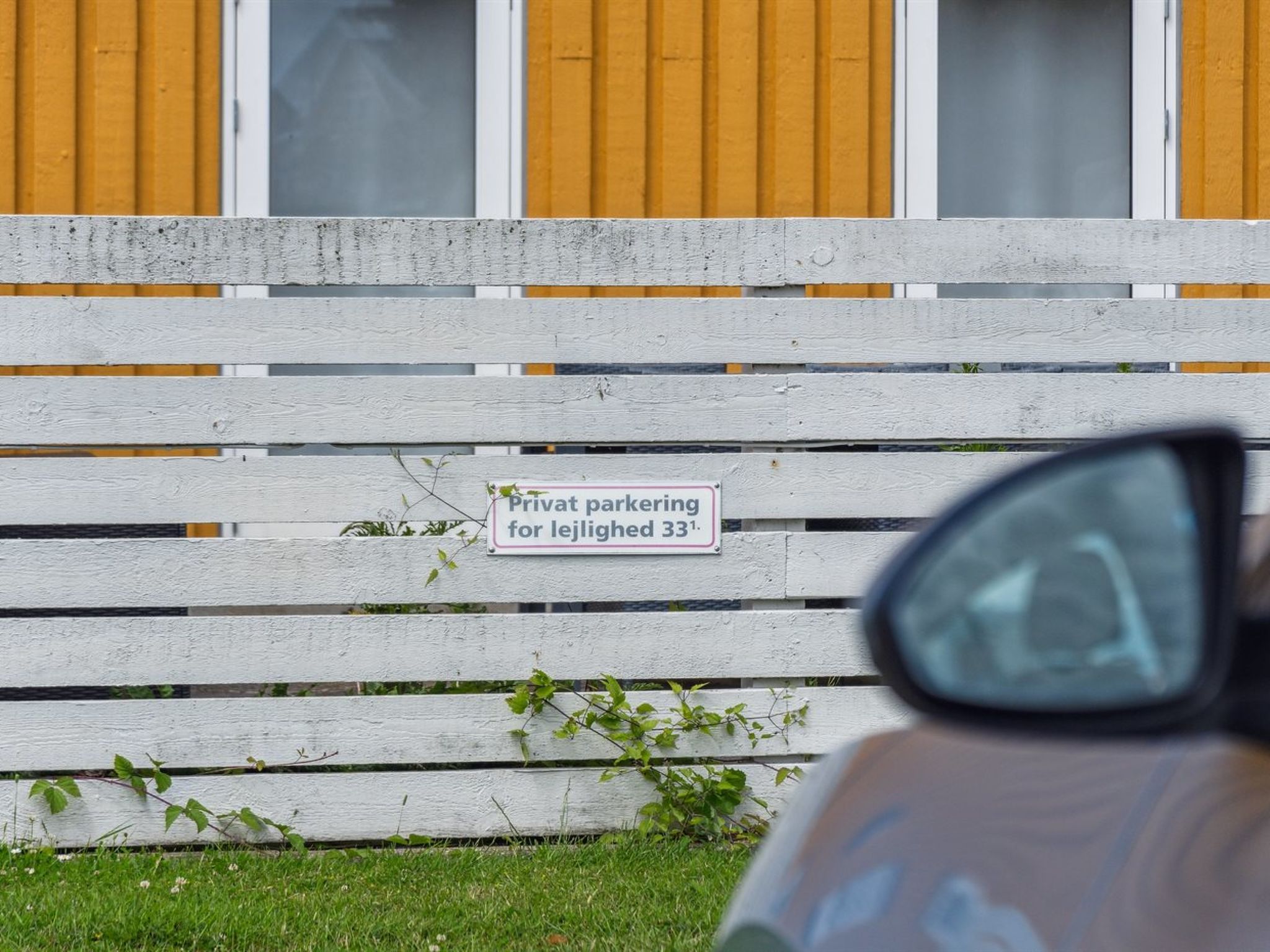 "Reimer" - 10m from the sea