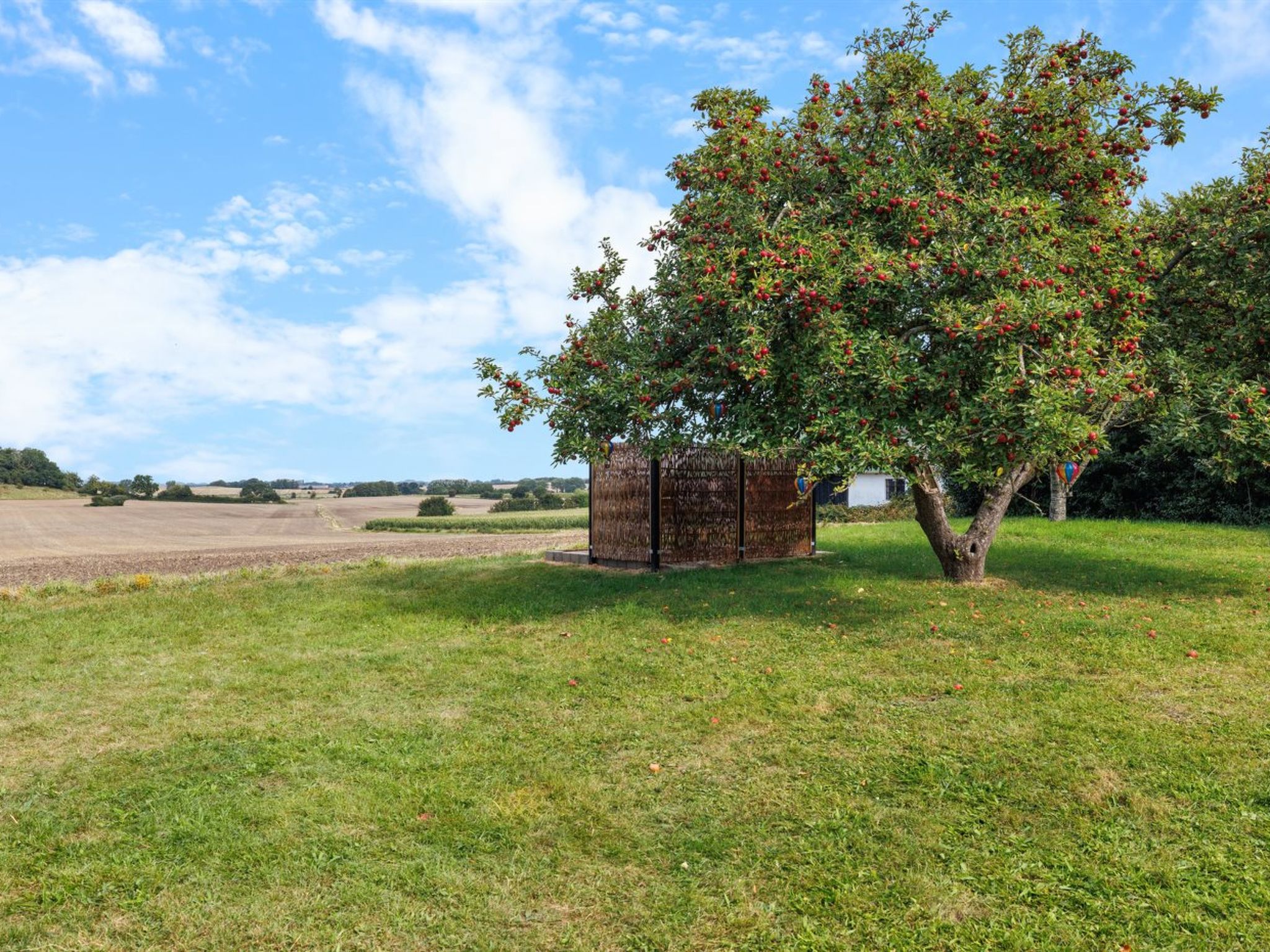 "Alisa" - 2.5km from the sea-Outside