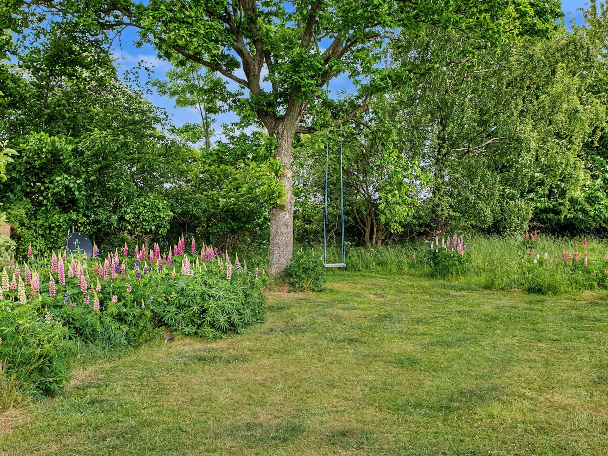 "Verene" - 725m from the sea - Buiten