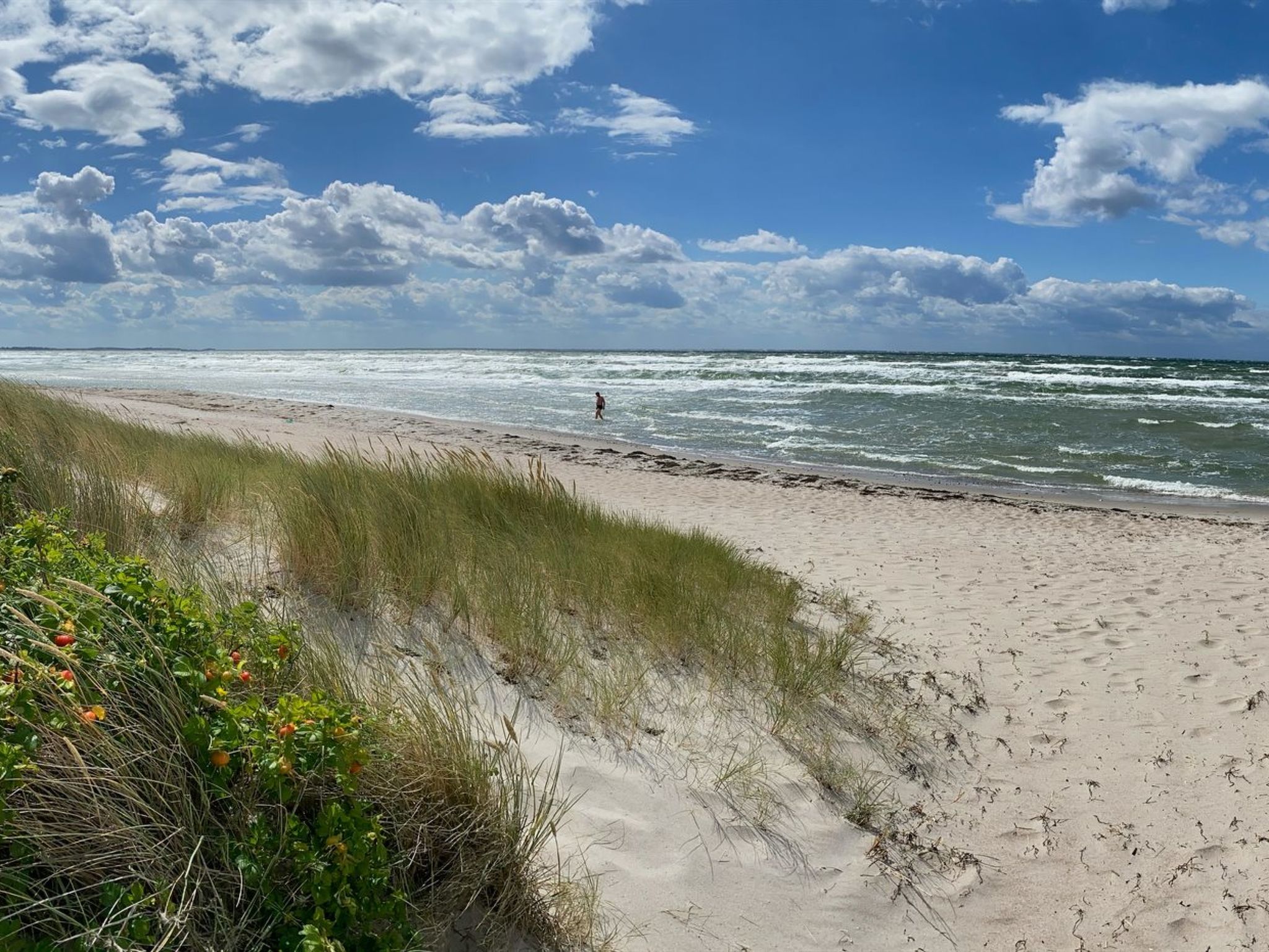 "Wiger" - 150m from the sea