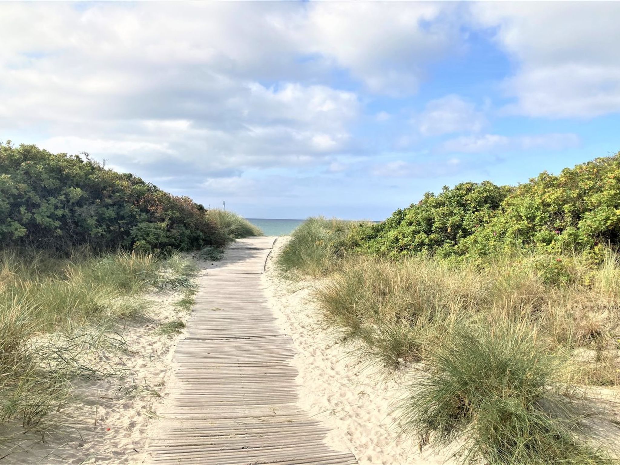 "Ønevus" - 550m from the sea-Buiten