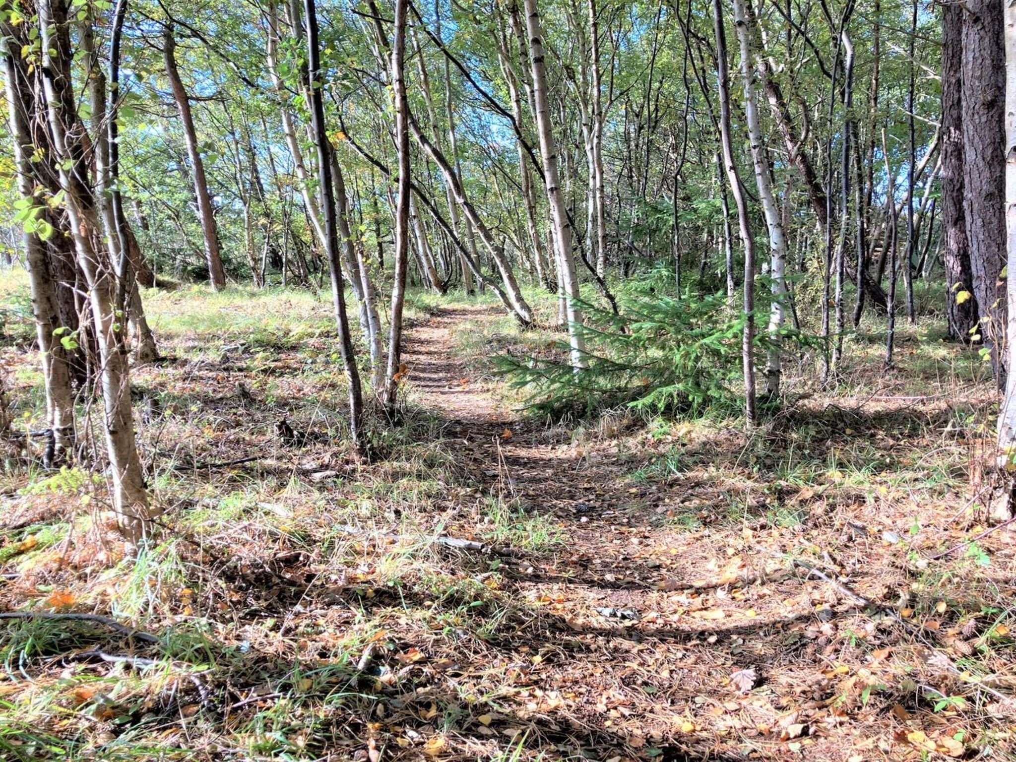 "Osa" - 150m from the sea - Buiten