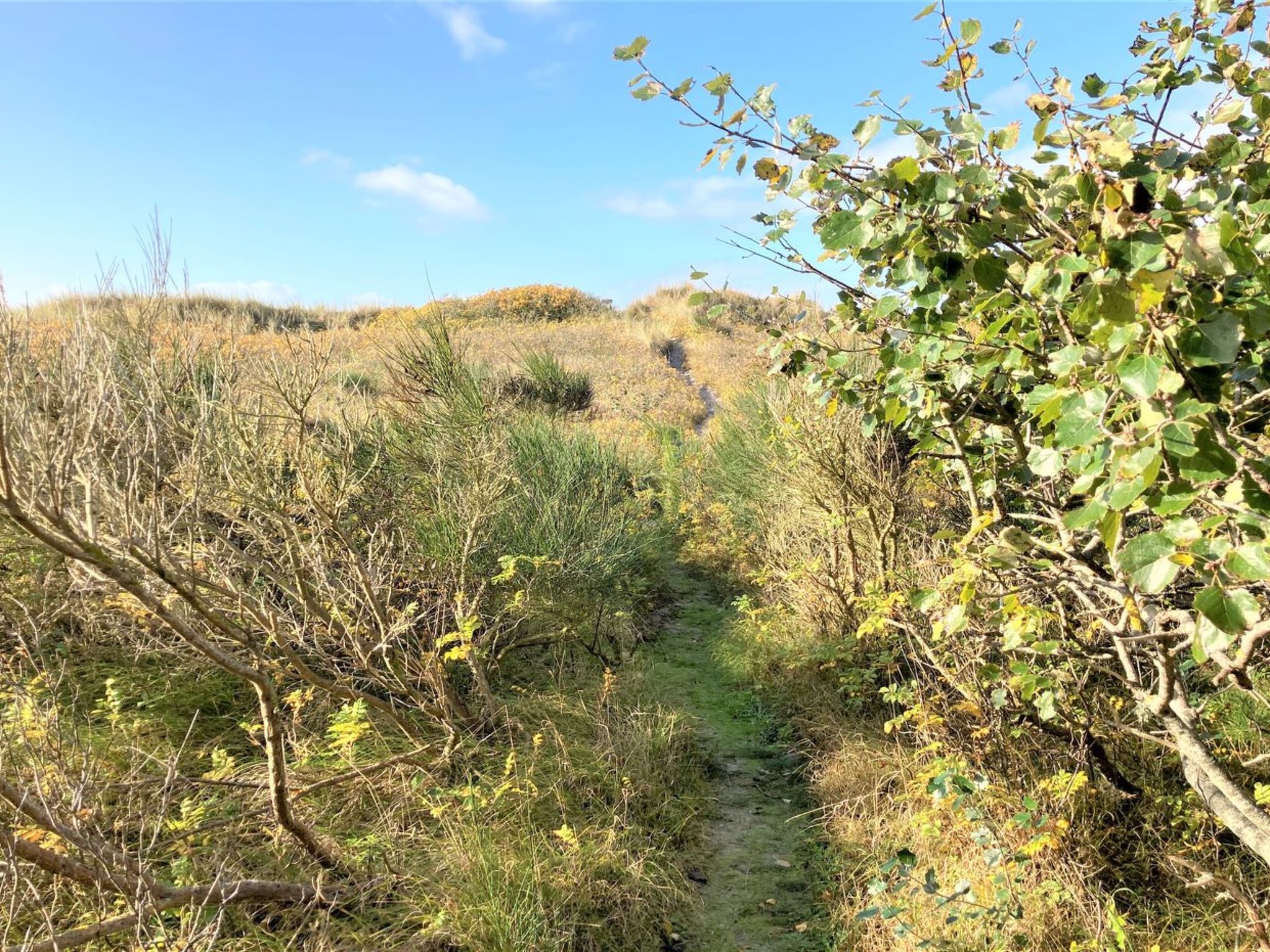 "Osa" - 150m from the sea - Buiten