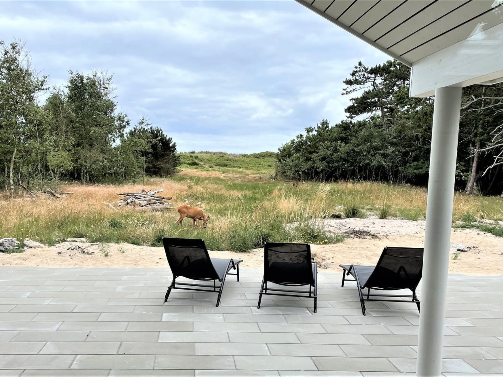 "Jorn" - 75m from the sea - Buiten