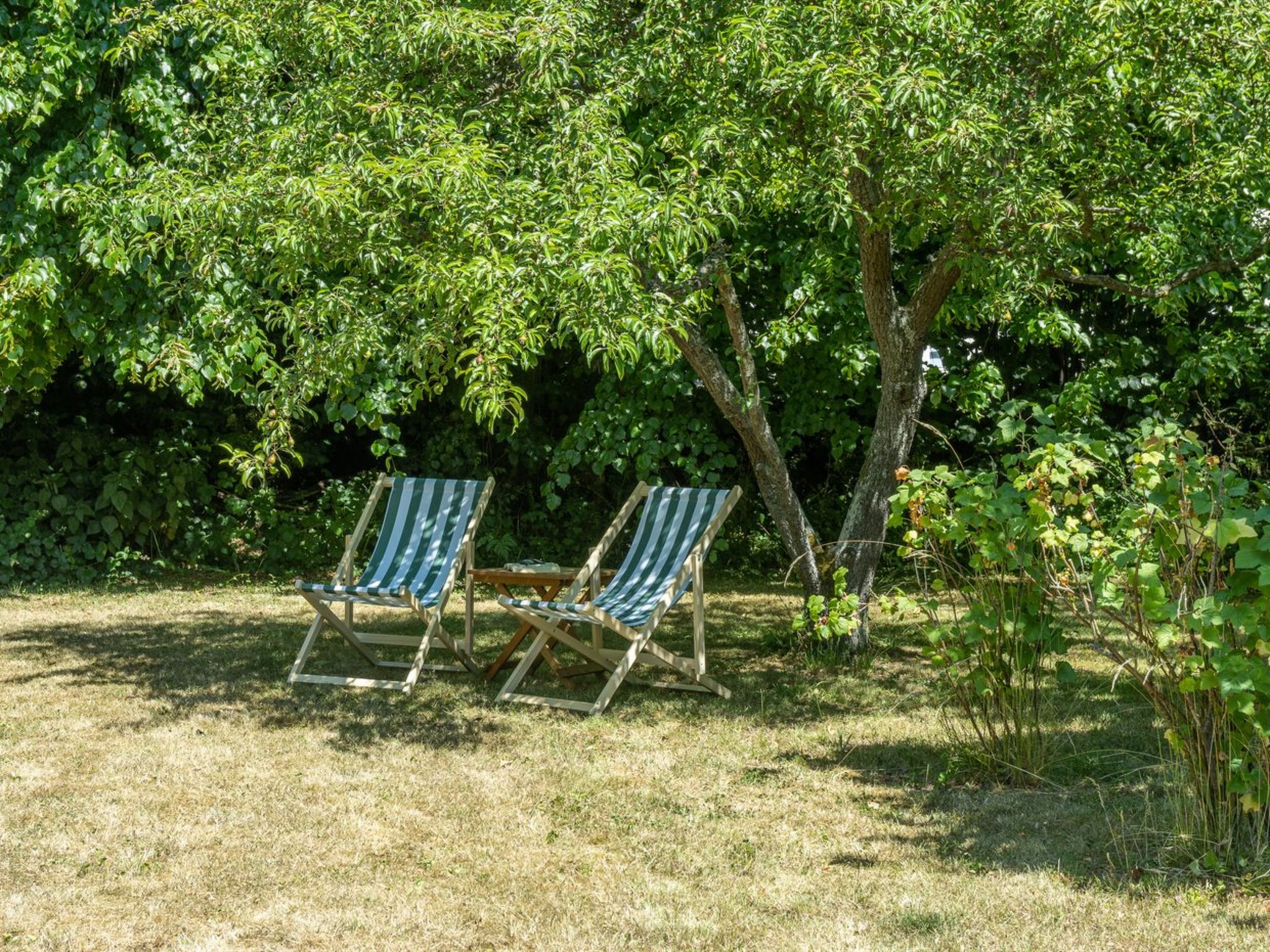 "Elvin" - 2.7km from the sea - Draußen