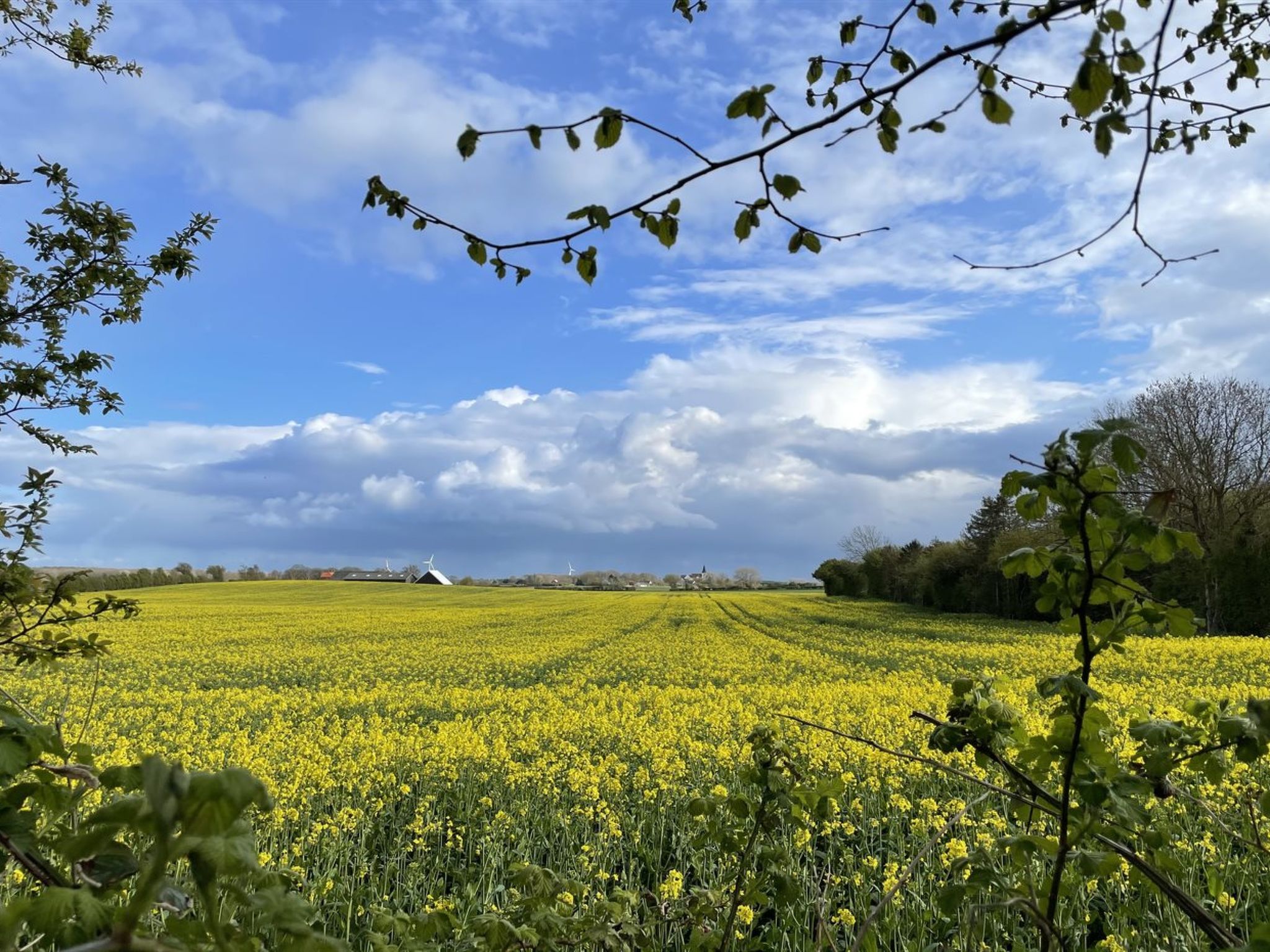 "Elvin" - 2.7km from the sea - Draußen