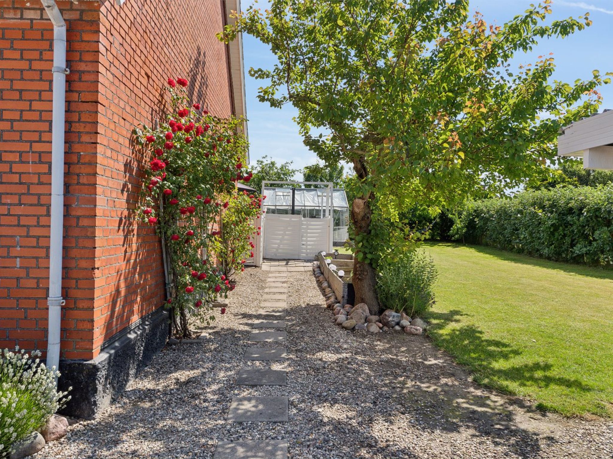 "Deljan" - 200m from the sea - Buiten