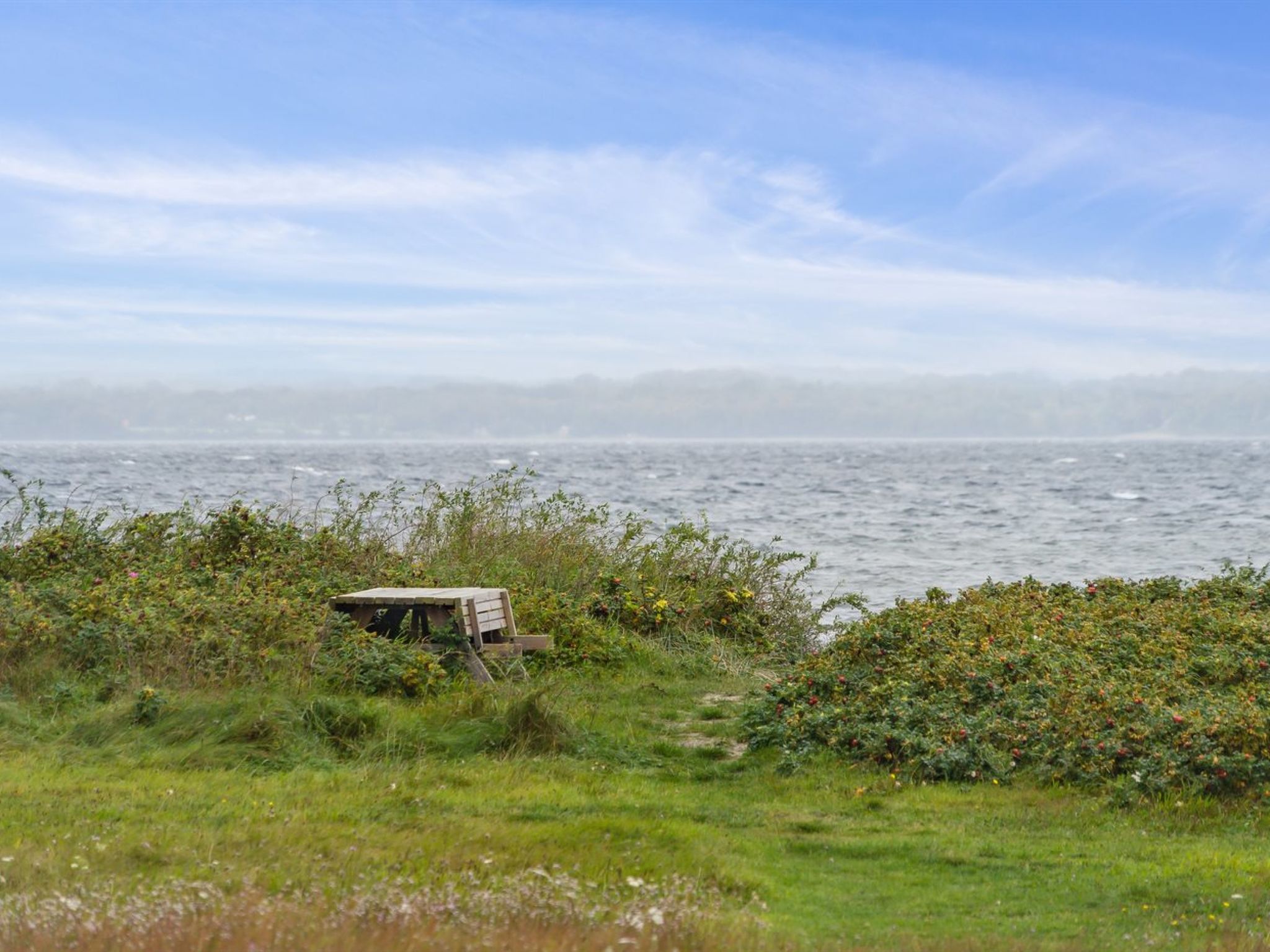 "Elisej" - 100m from the sea - Buiten
