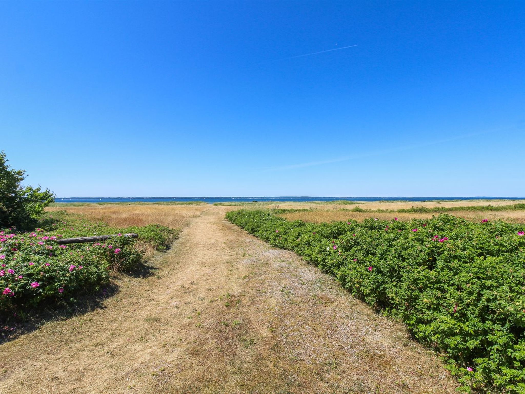 "Elisej" - 100m from the sea - Buiten