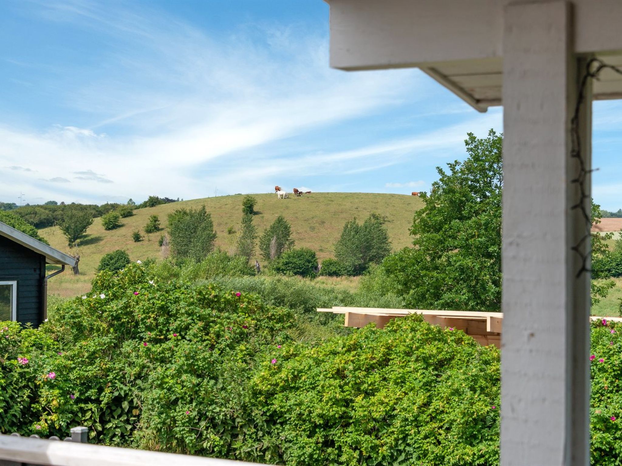 "Raija" - 400m from the sea - Buiten