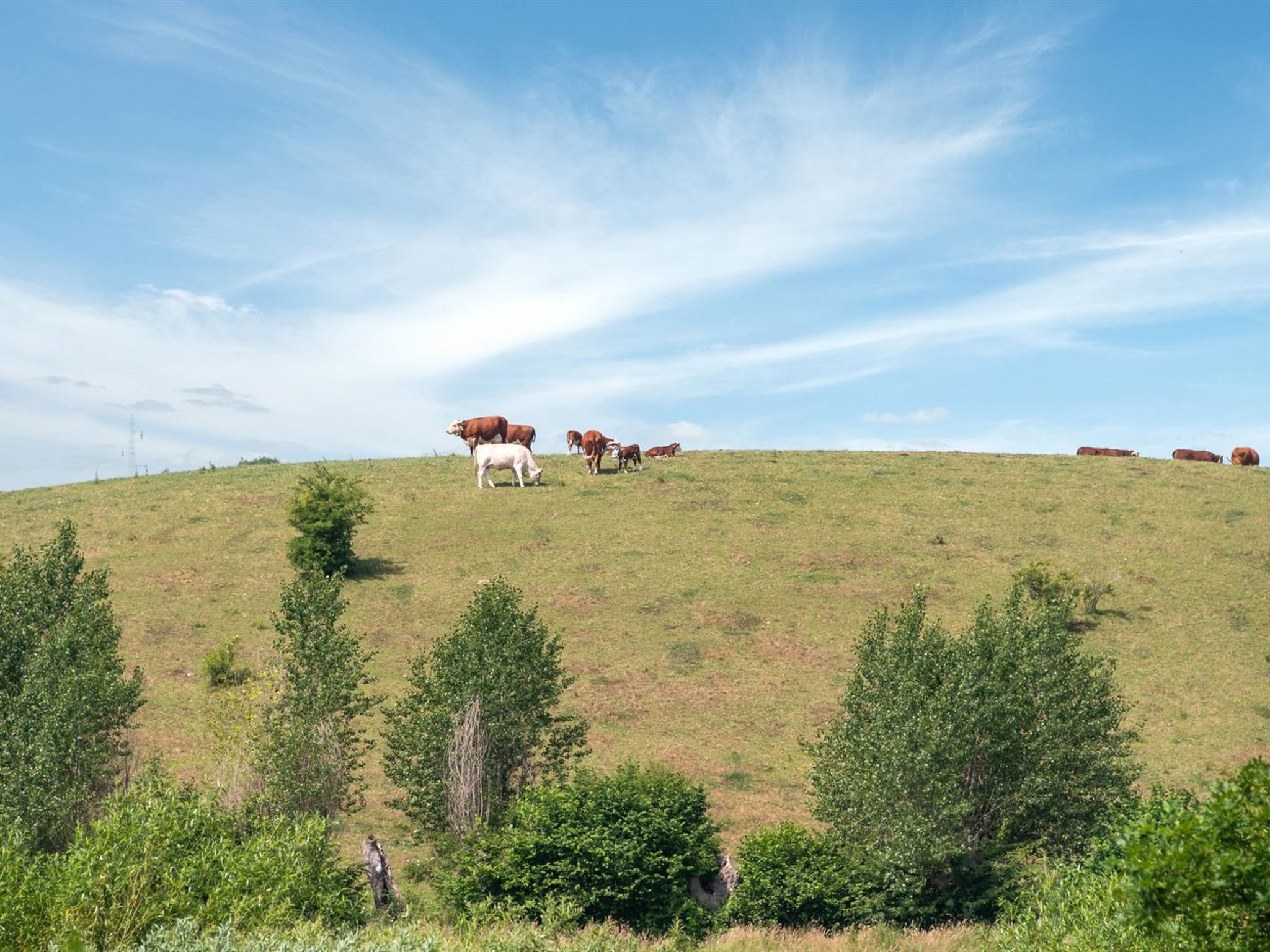 "Raija" - 400m from the sea - Buiten