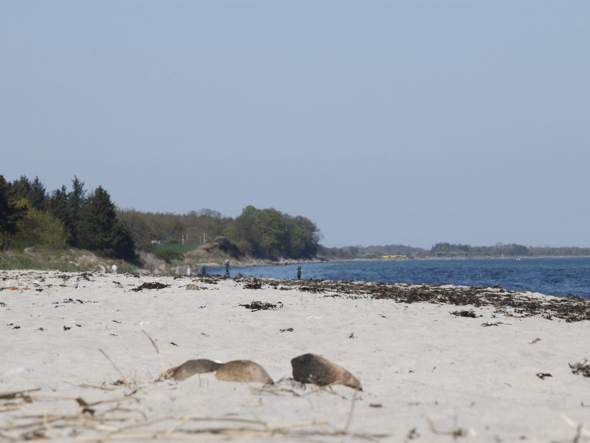 "Bridgette" - 100m from the sea