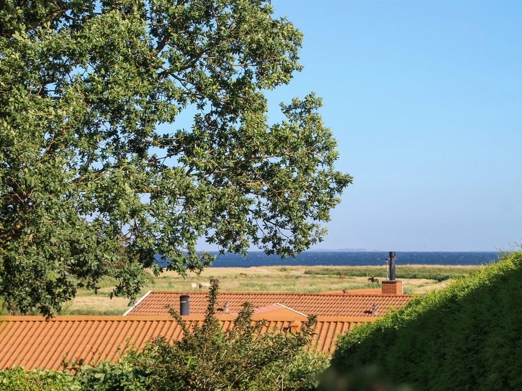 "Roel" - 500m from the sea