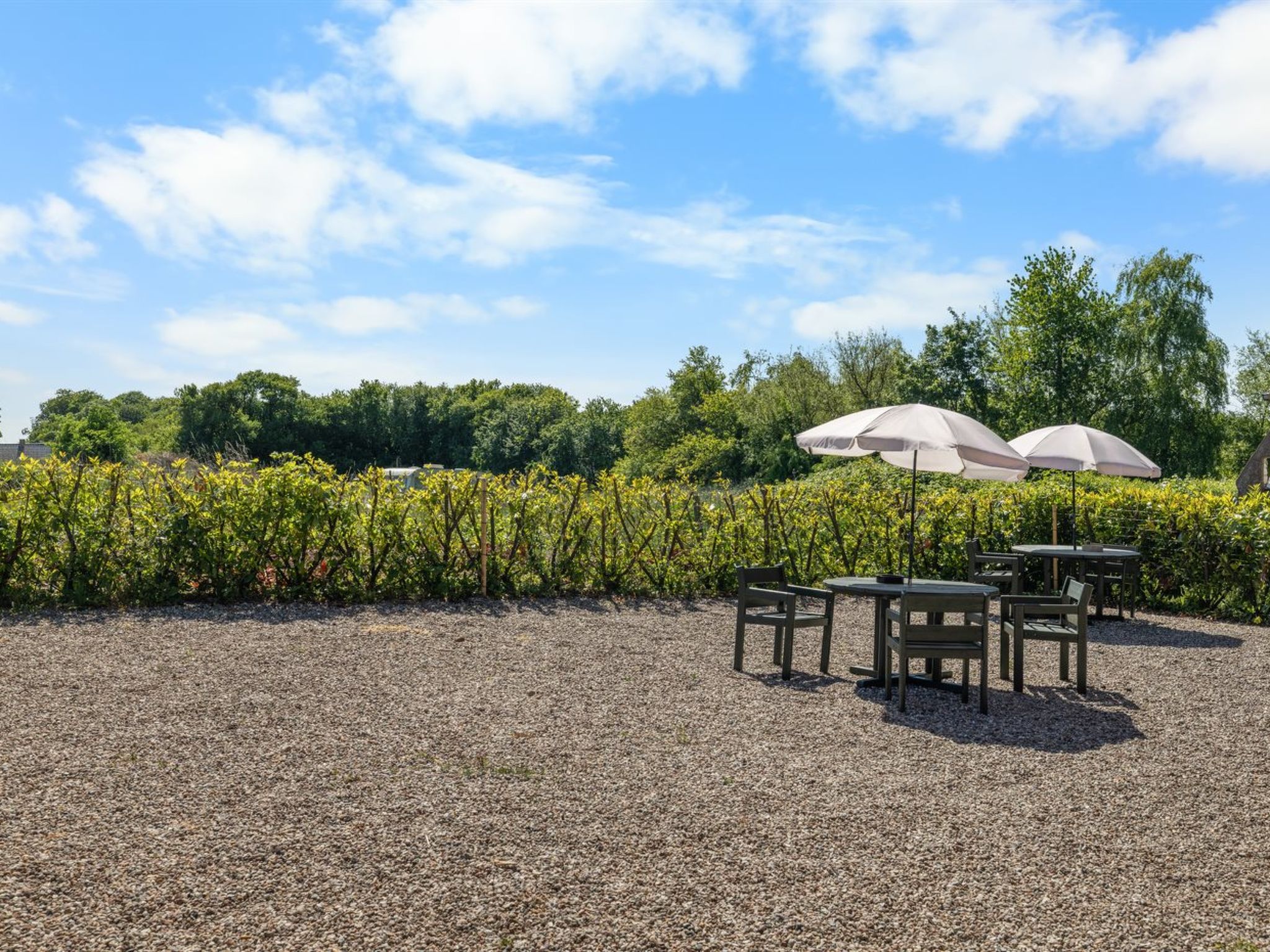 "Frothi" - 550m from the sea - Dehors