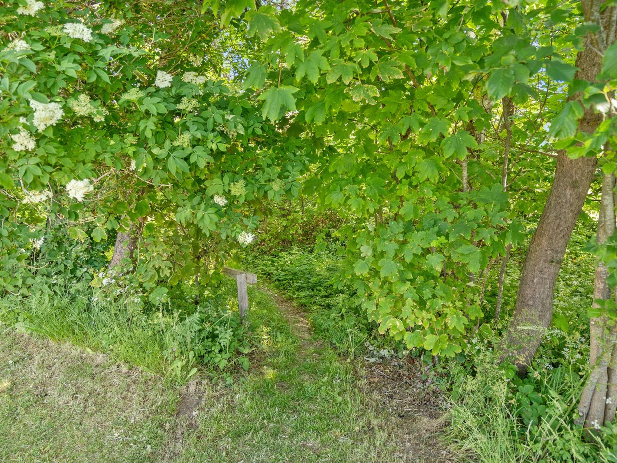 "Dvonta" - 170m from the sea-Buiten