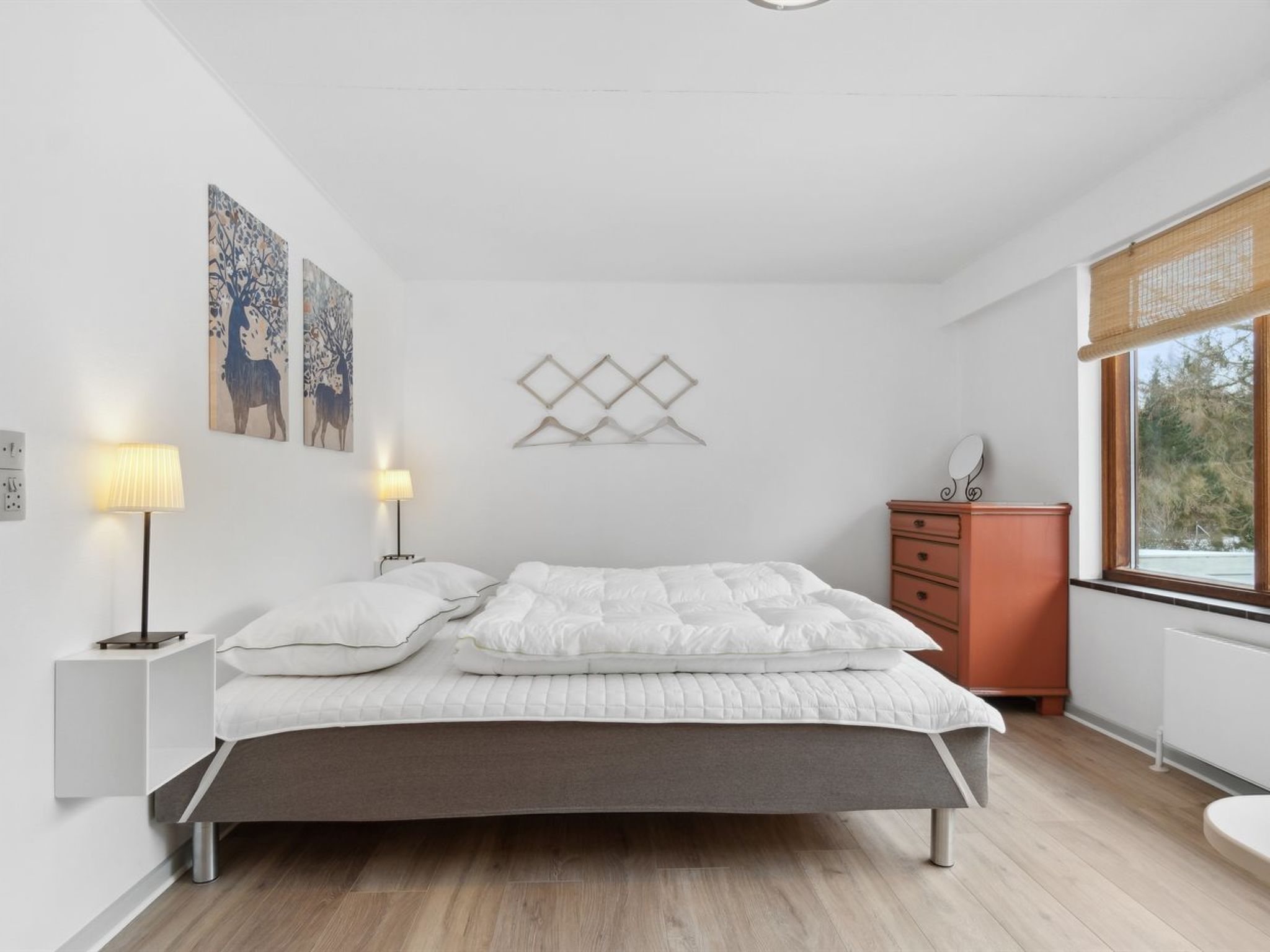 Photo of "Dana" - 525m from the sea