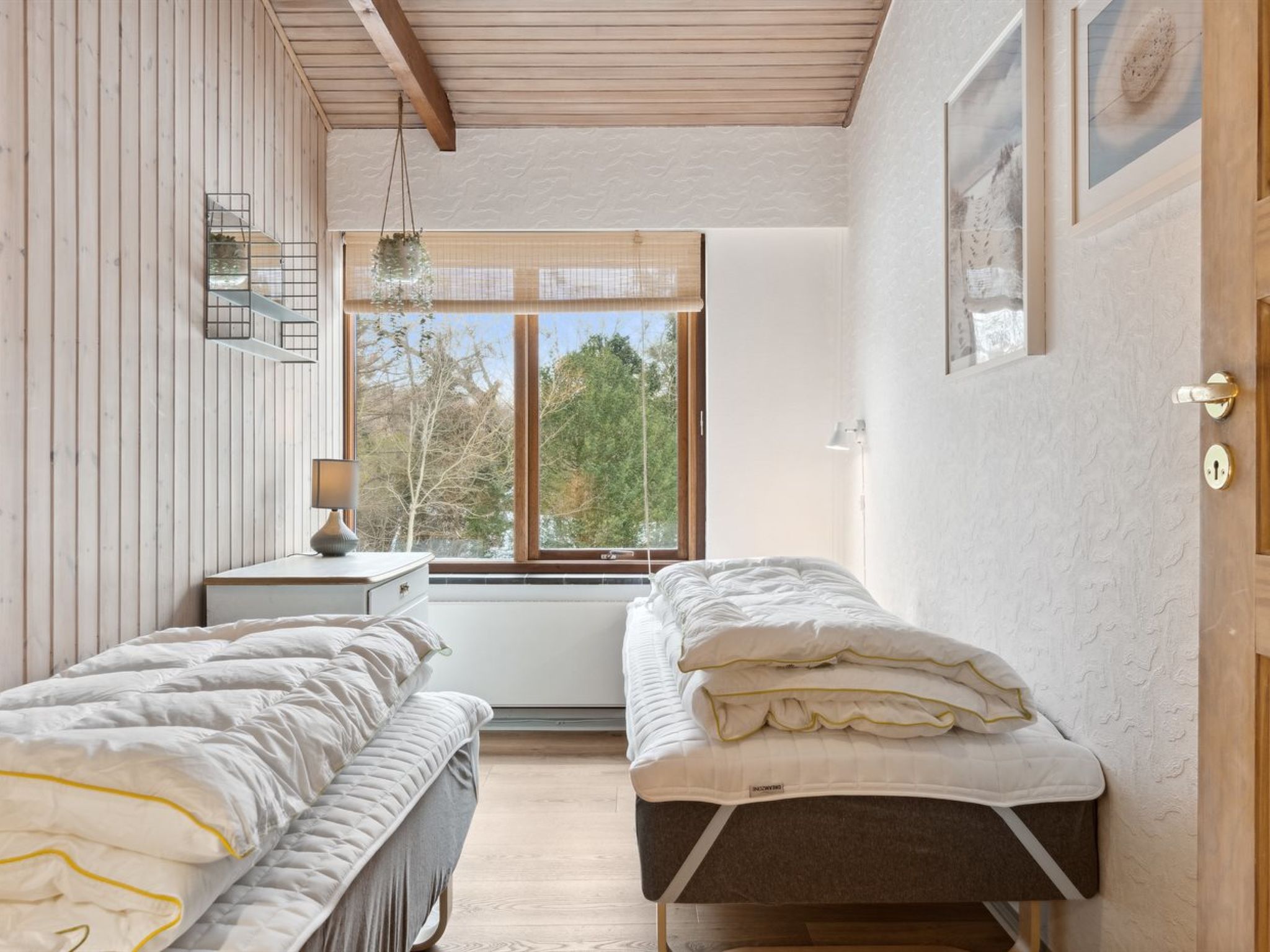 Photo of "Dana" - 525m from the sea