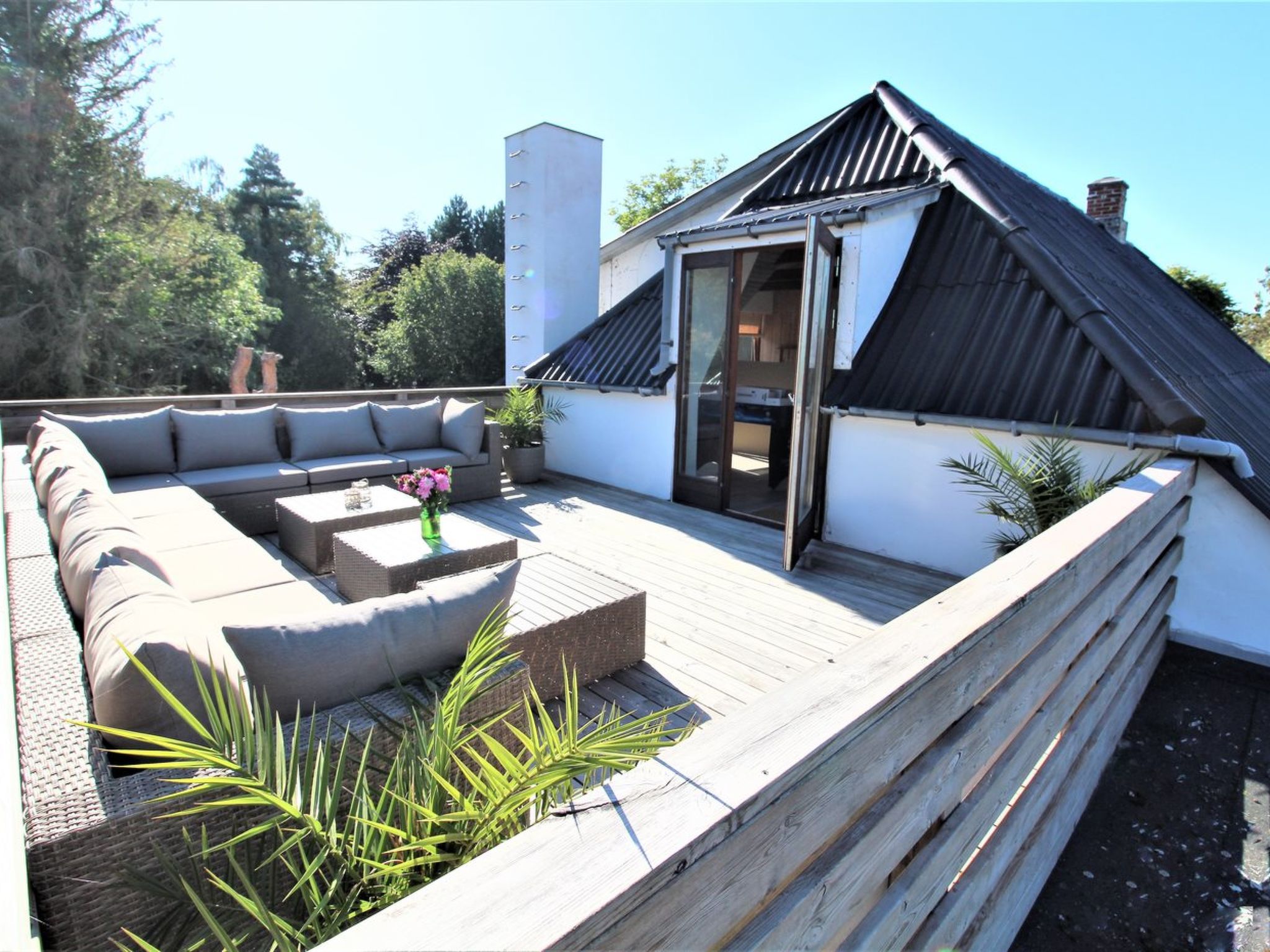 Photo of "Dana" - 525m from the sea