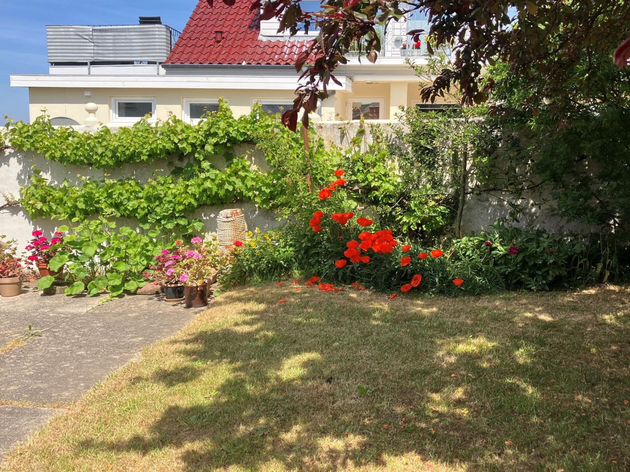 "Merete" - 50m from the sea-Buiten