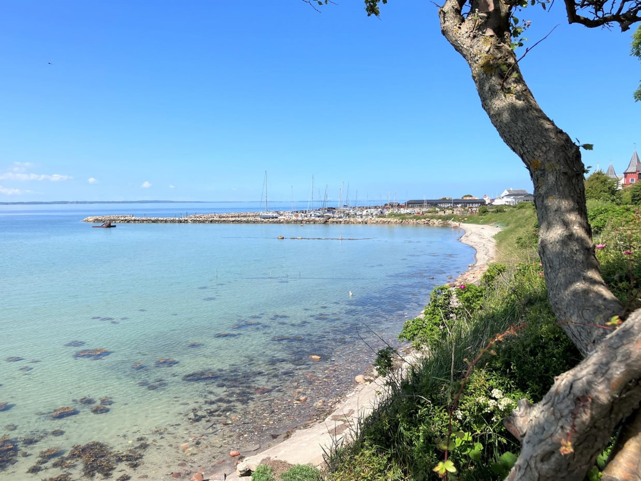 "Jovana" - 40m from the sea - Buiten