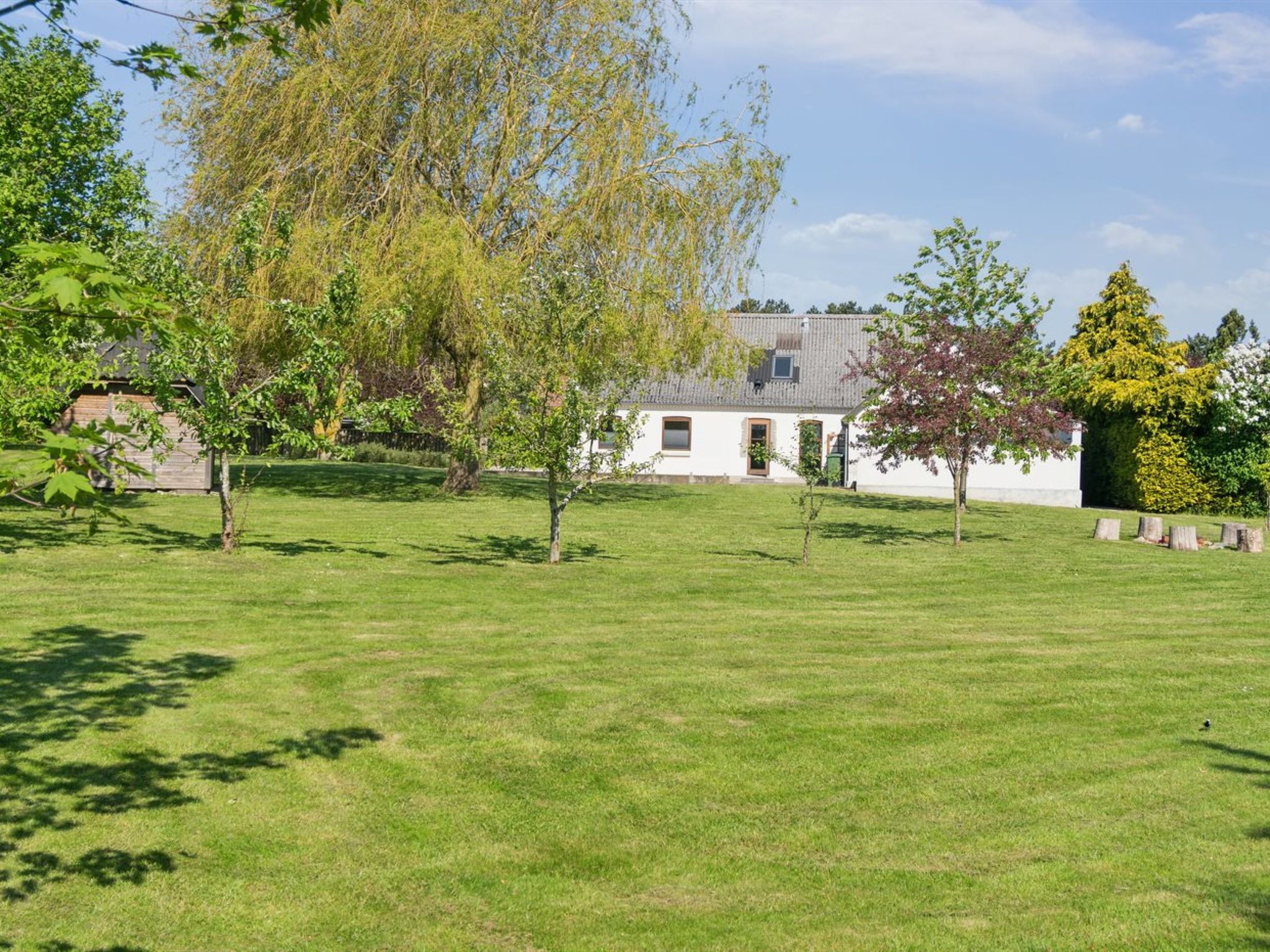 "Teodora" - 3km from the sea - Buiten