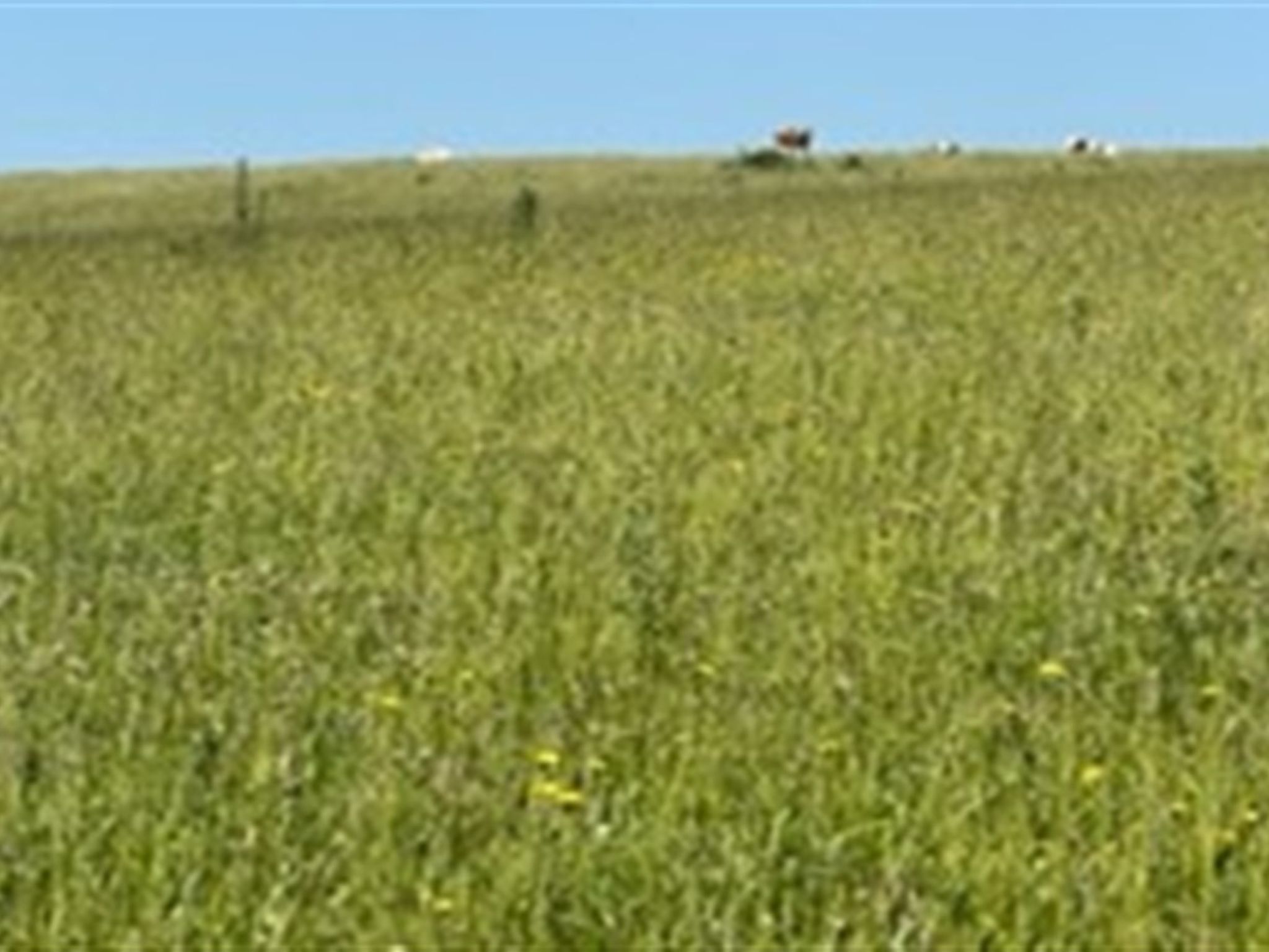 "Ebbeline" - 150m from the sea - Buiten
