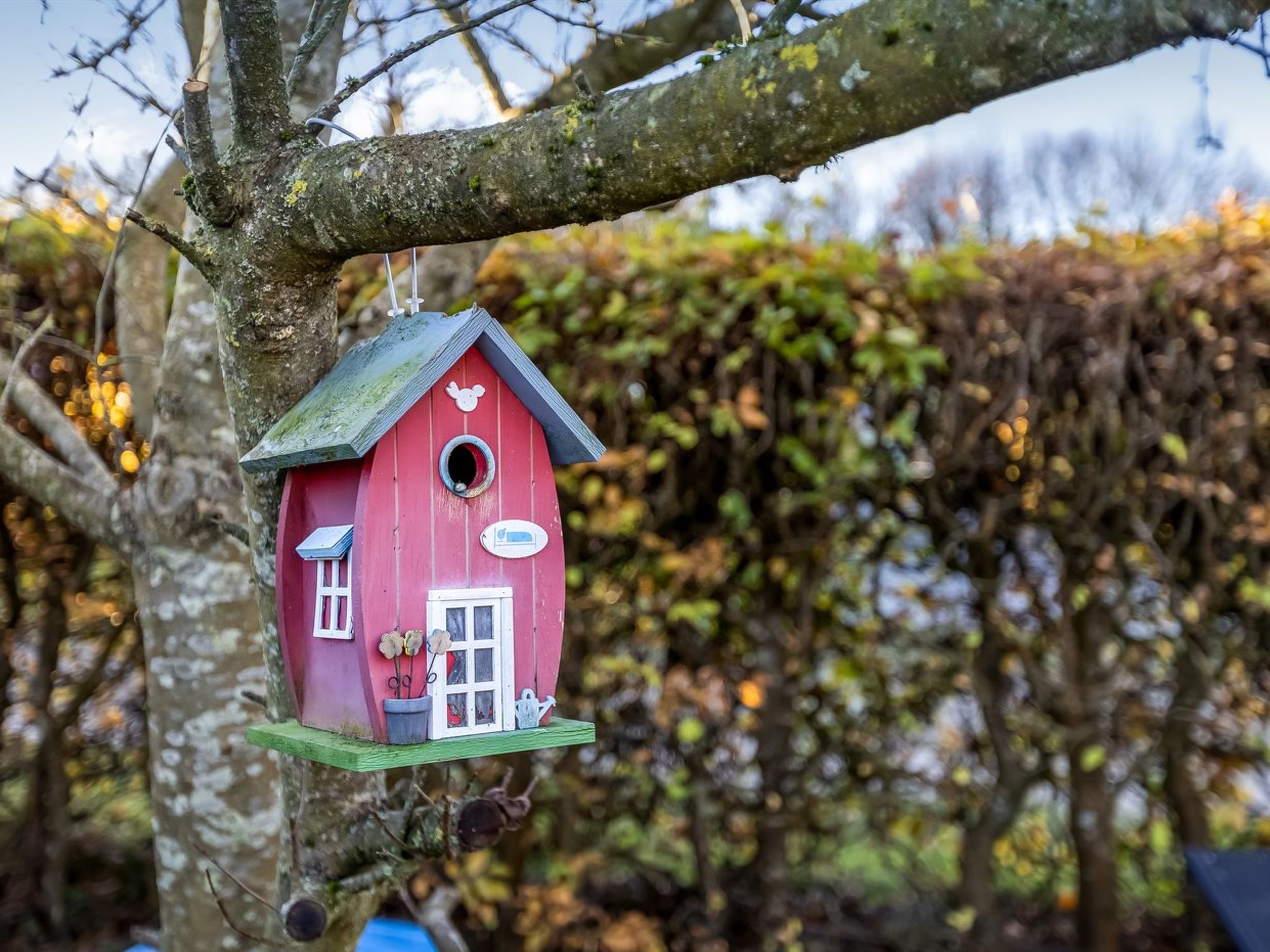 "Pavo" - 200m from the sea-Buiten