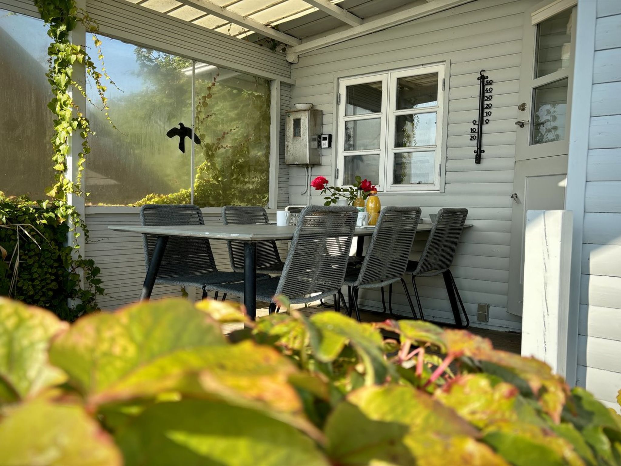 "Drifa" - 20m from the sea — Terrace (3 of 45)