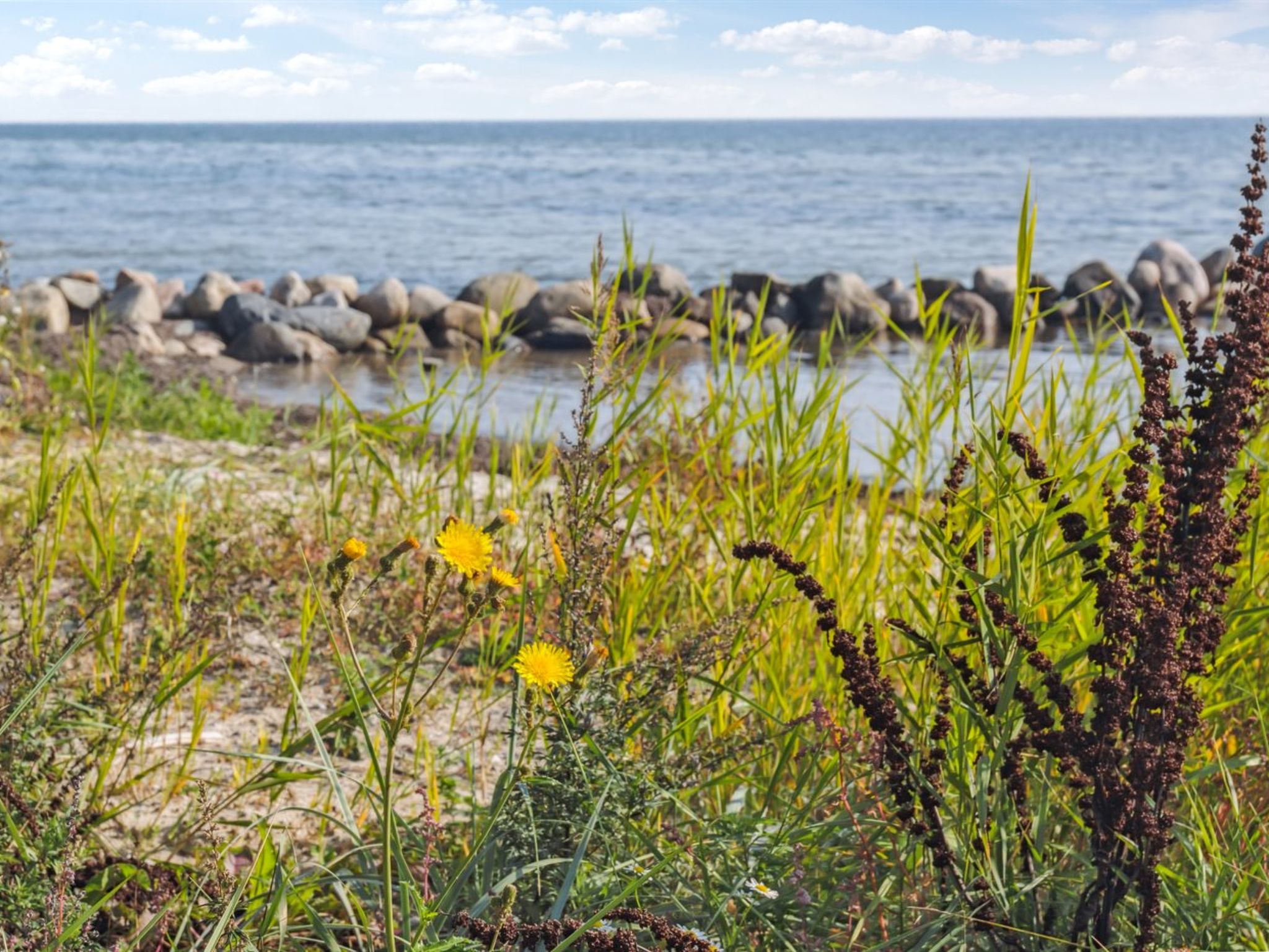 "Drifa" - 20m from the sea - Buiten