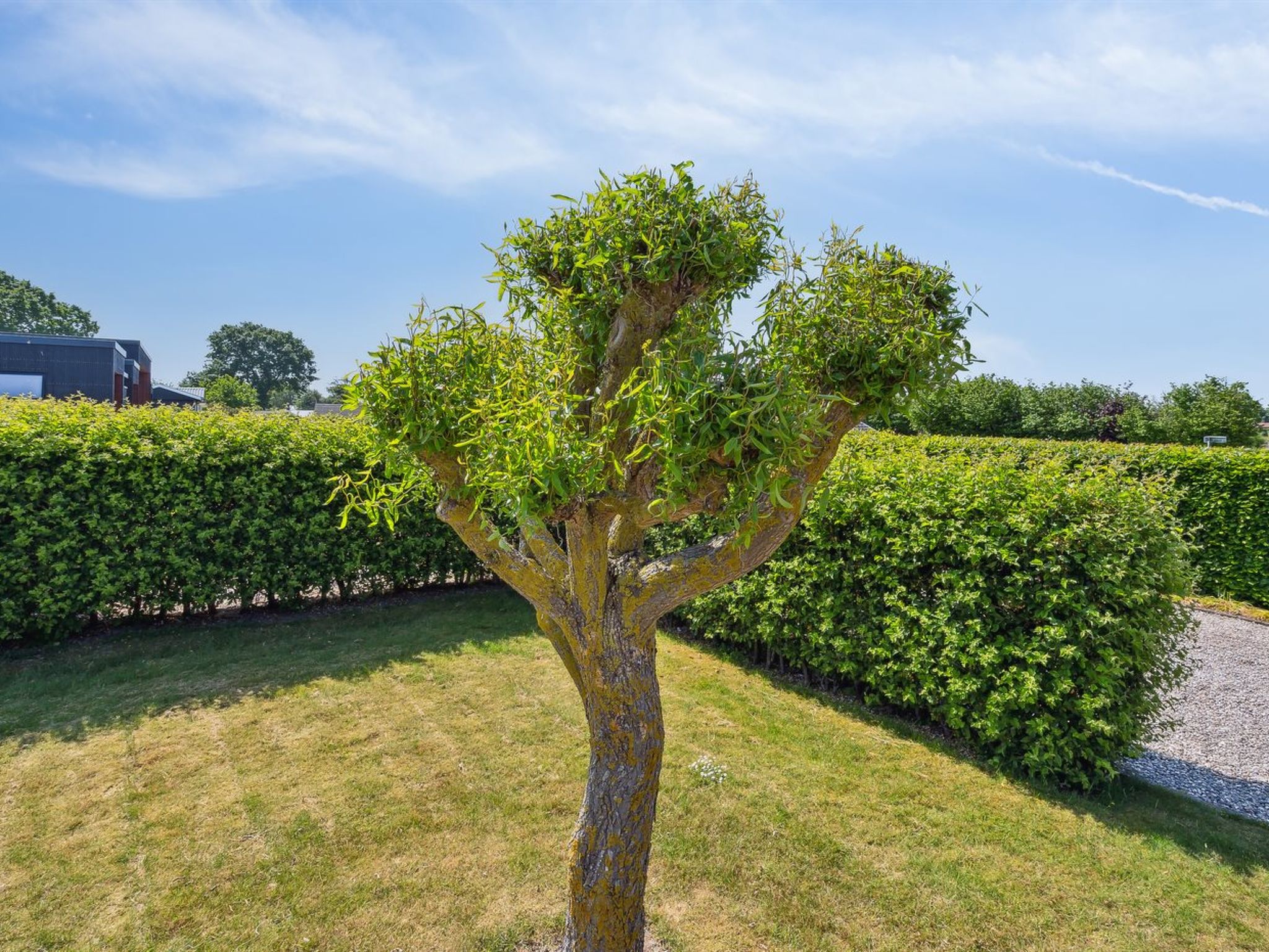 "Inge" - 300m from the sea - Buiten