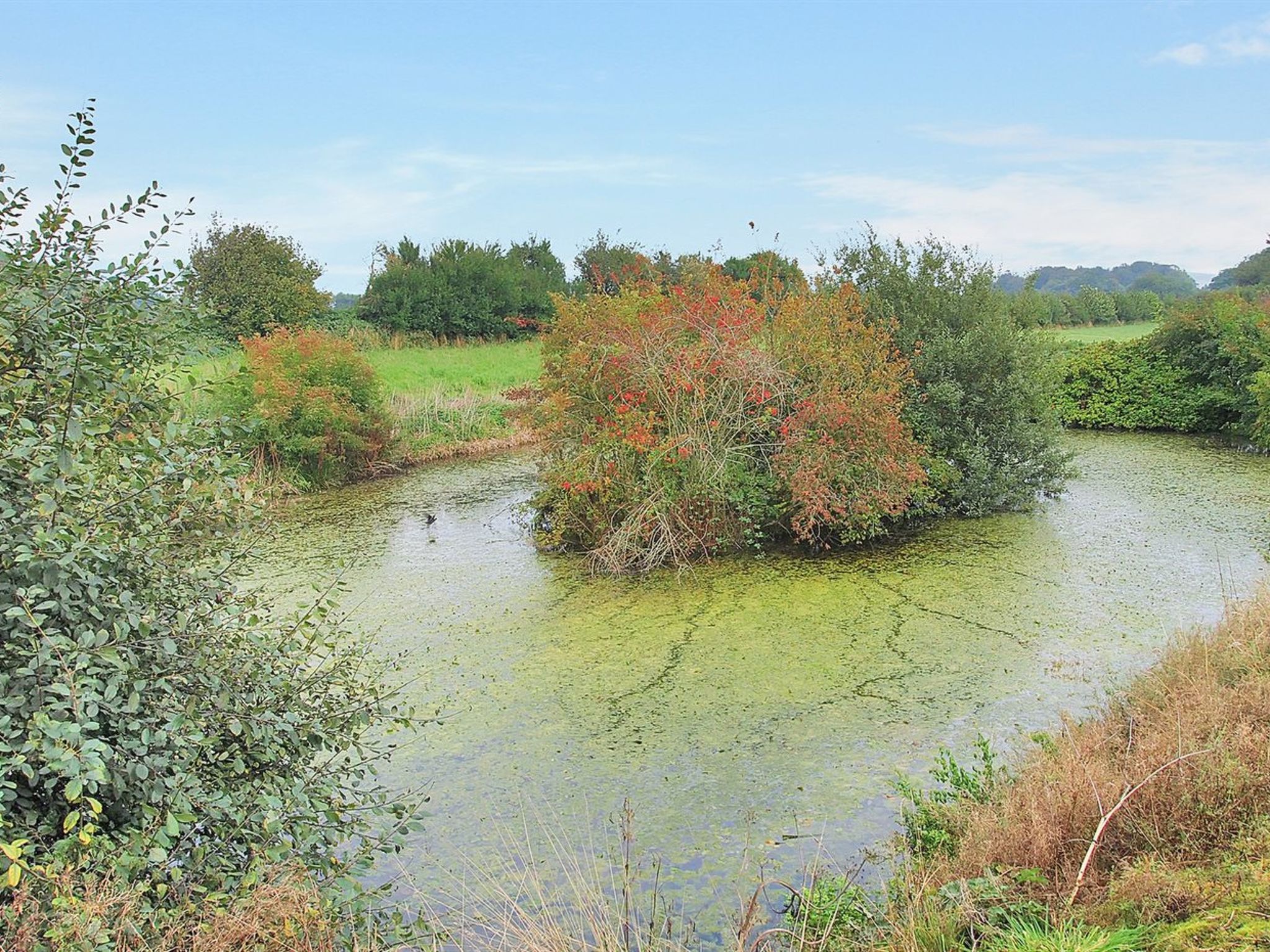 "Iorund" - 550m from the sea - Draußen