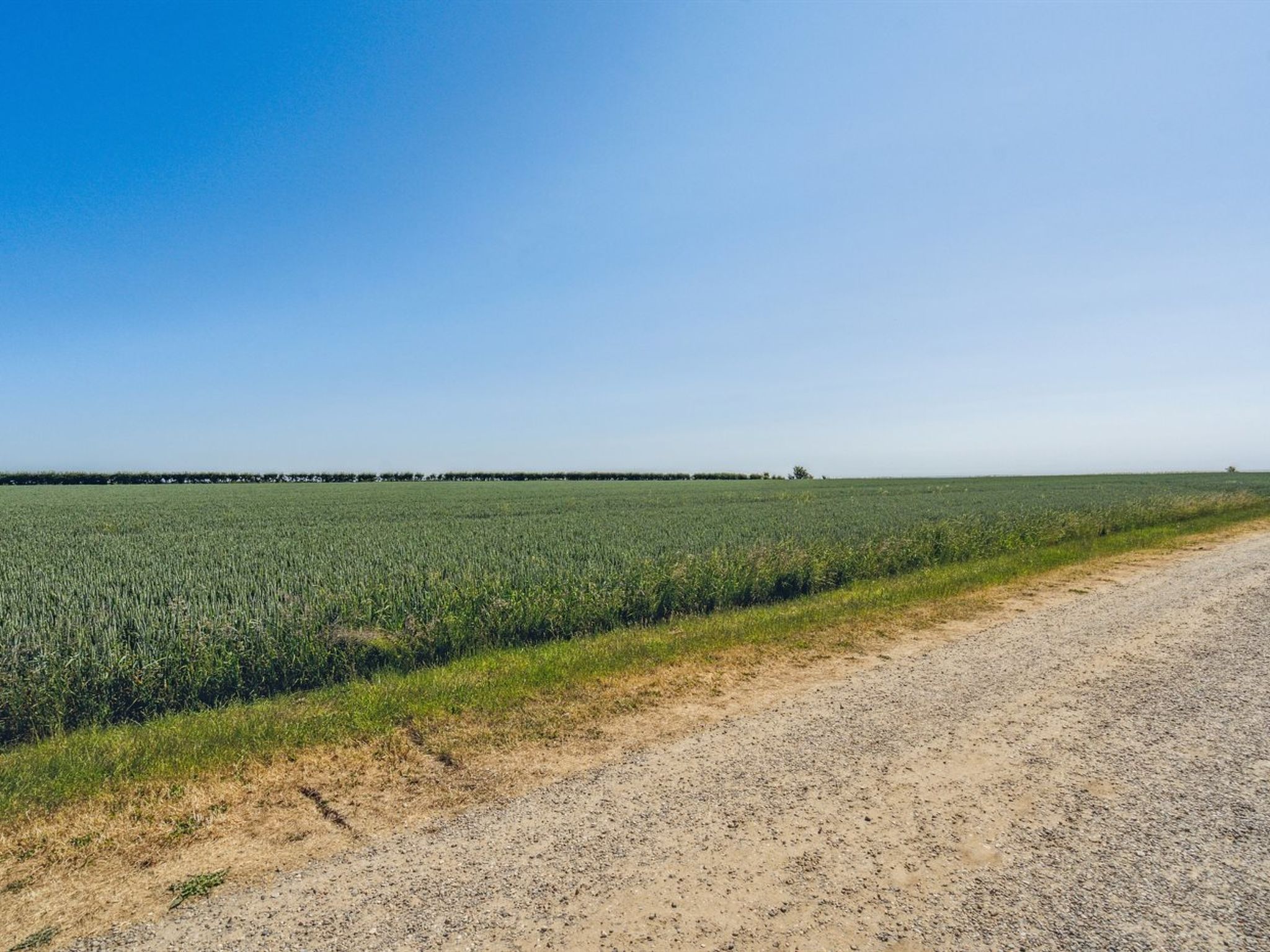 "Anella" - 200m from the sea - Buiten