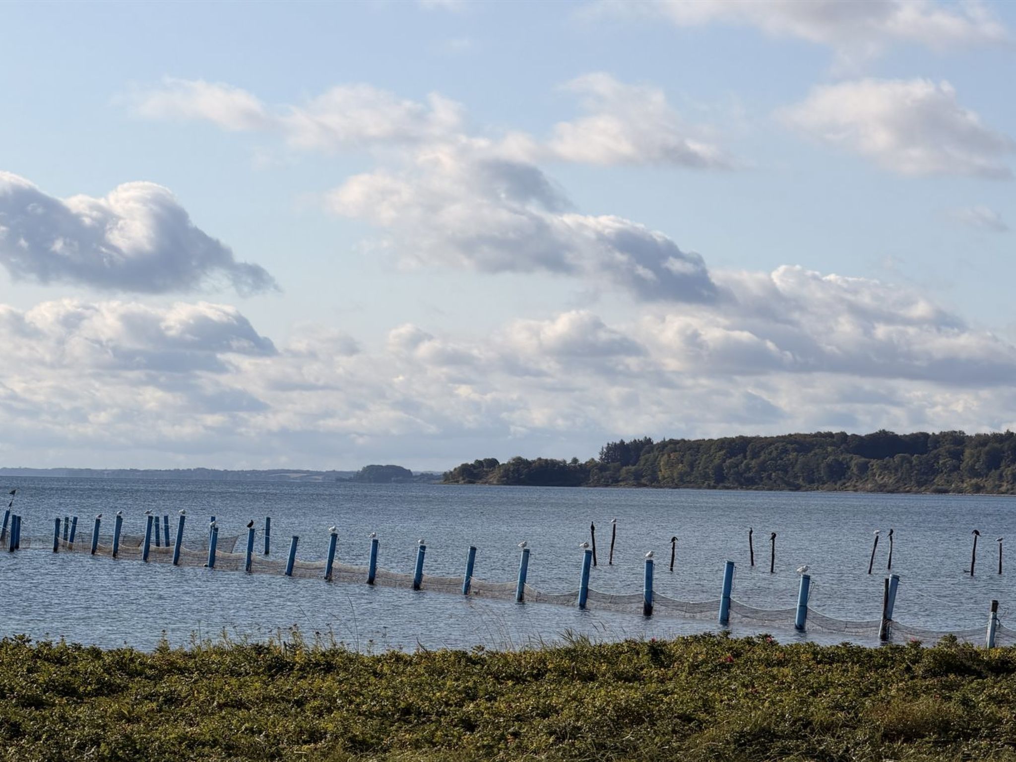 "Harri" - 400m from the sea - Outside